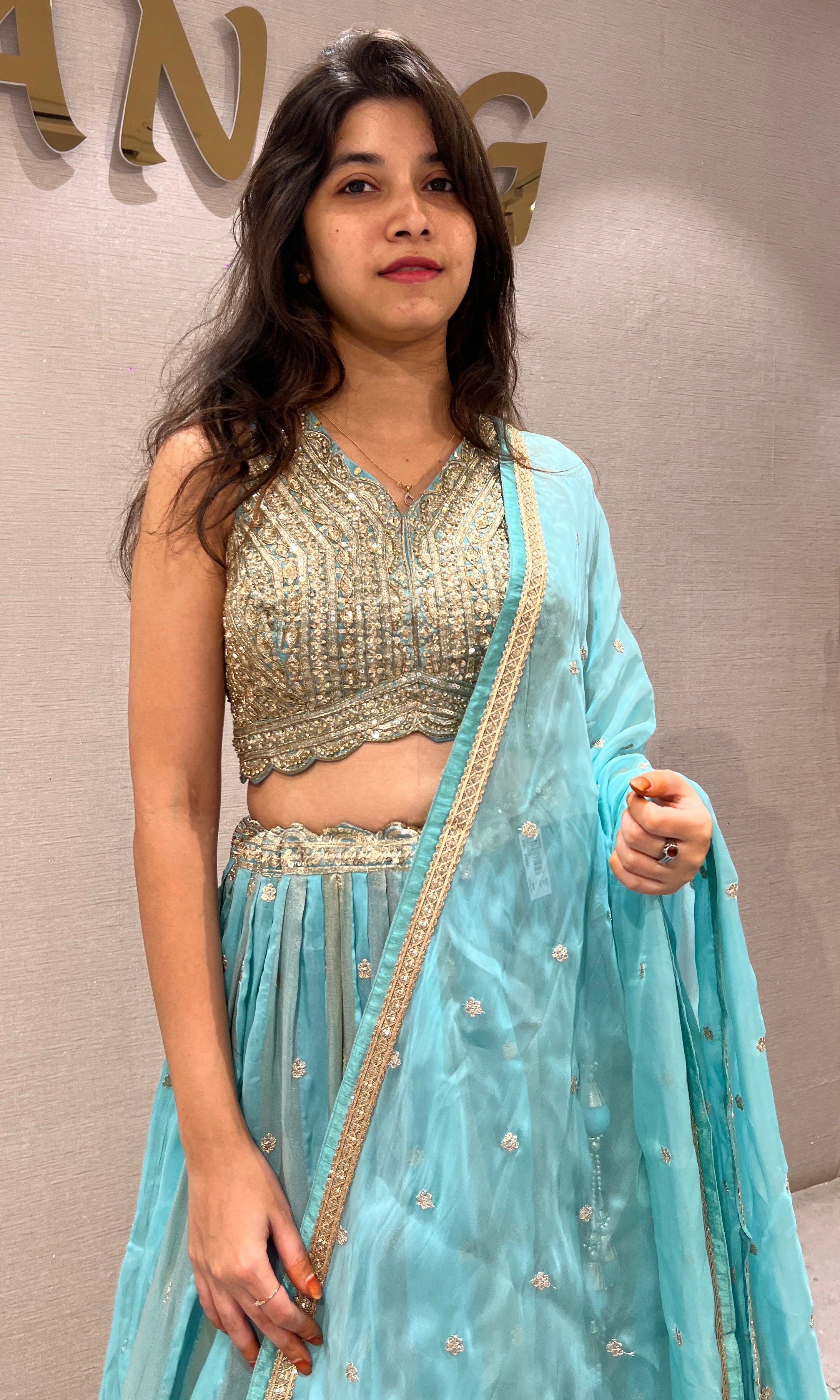 Sea Blue & Metallic Gold Embroidered Lehenga