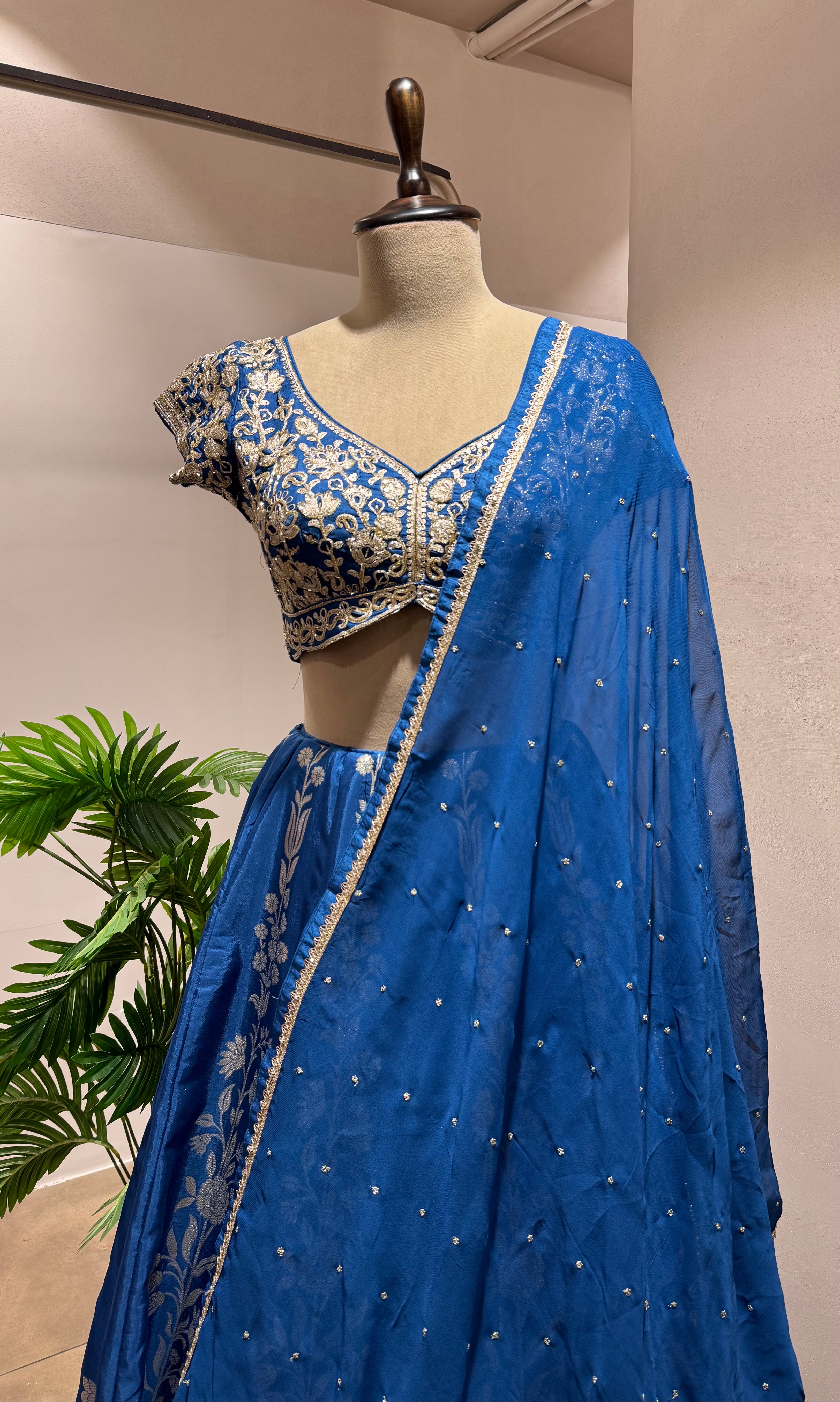 Blue Lehenga with Intricate Zari Embroidery