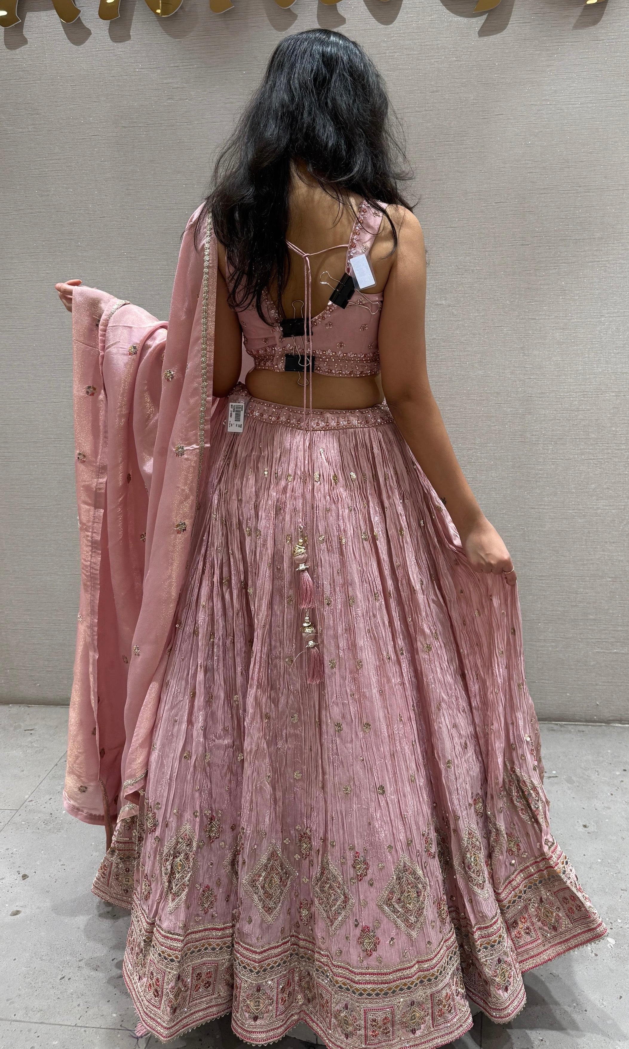 Blush Pink embroidered Lehenga