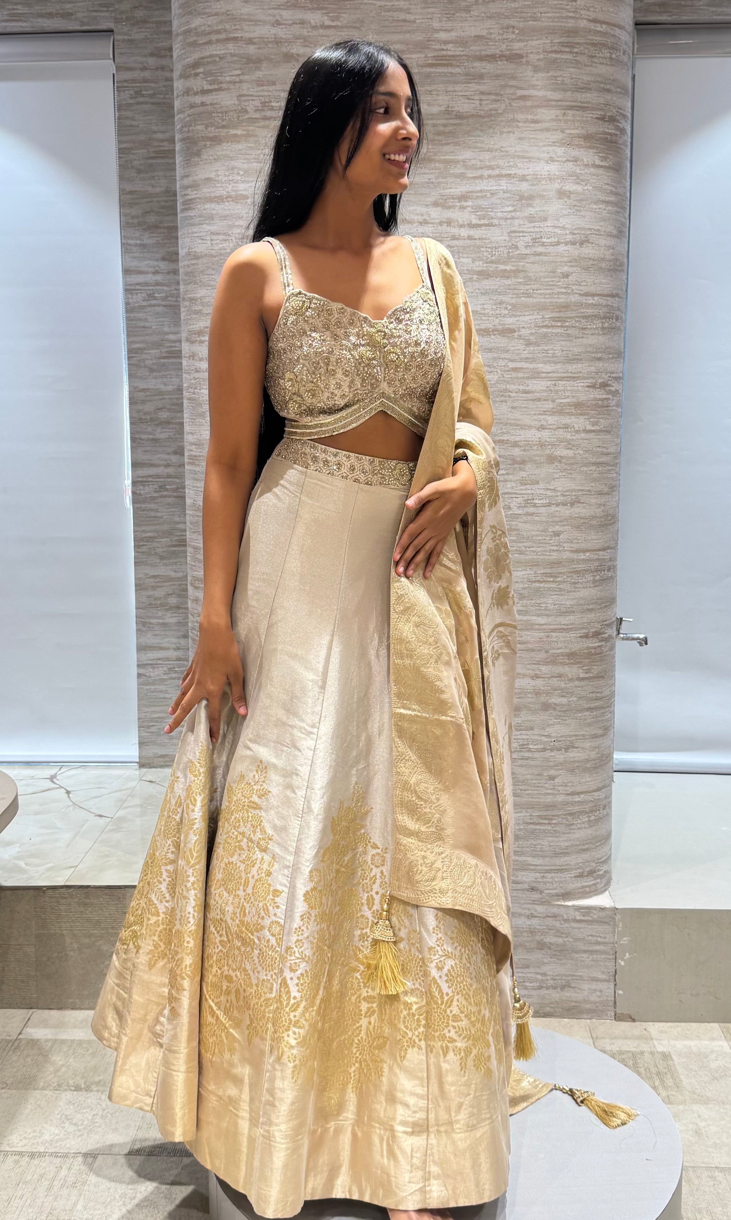 Gold Embroidered Tissue Lehenga