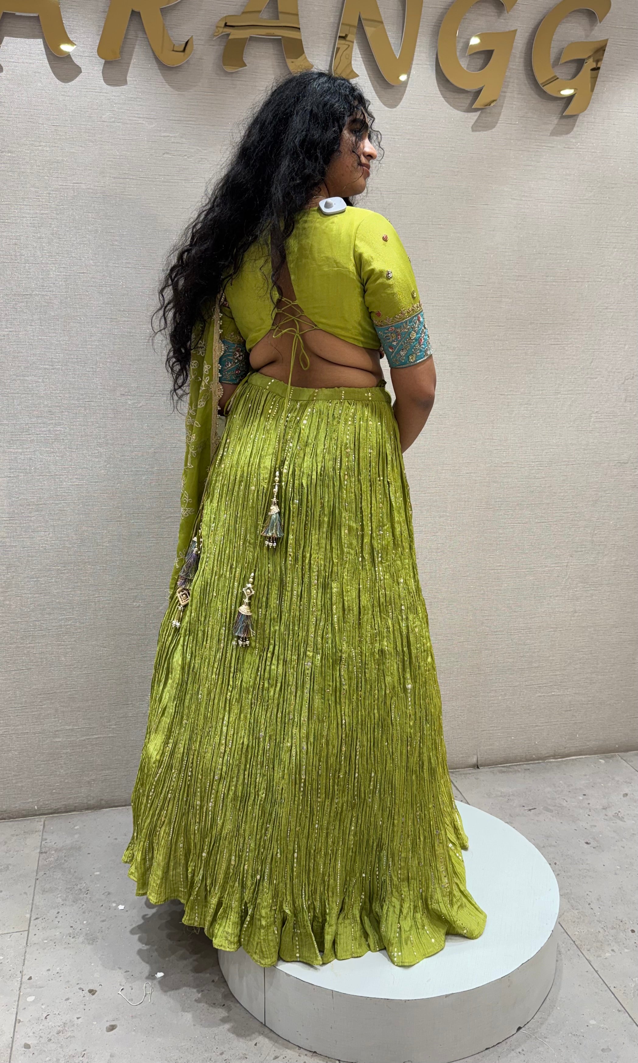 Parrot Green Intricate Embroidered Lehenga