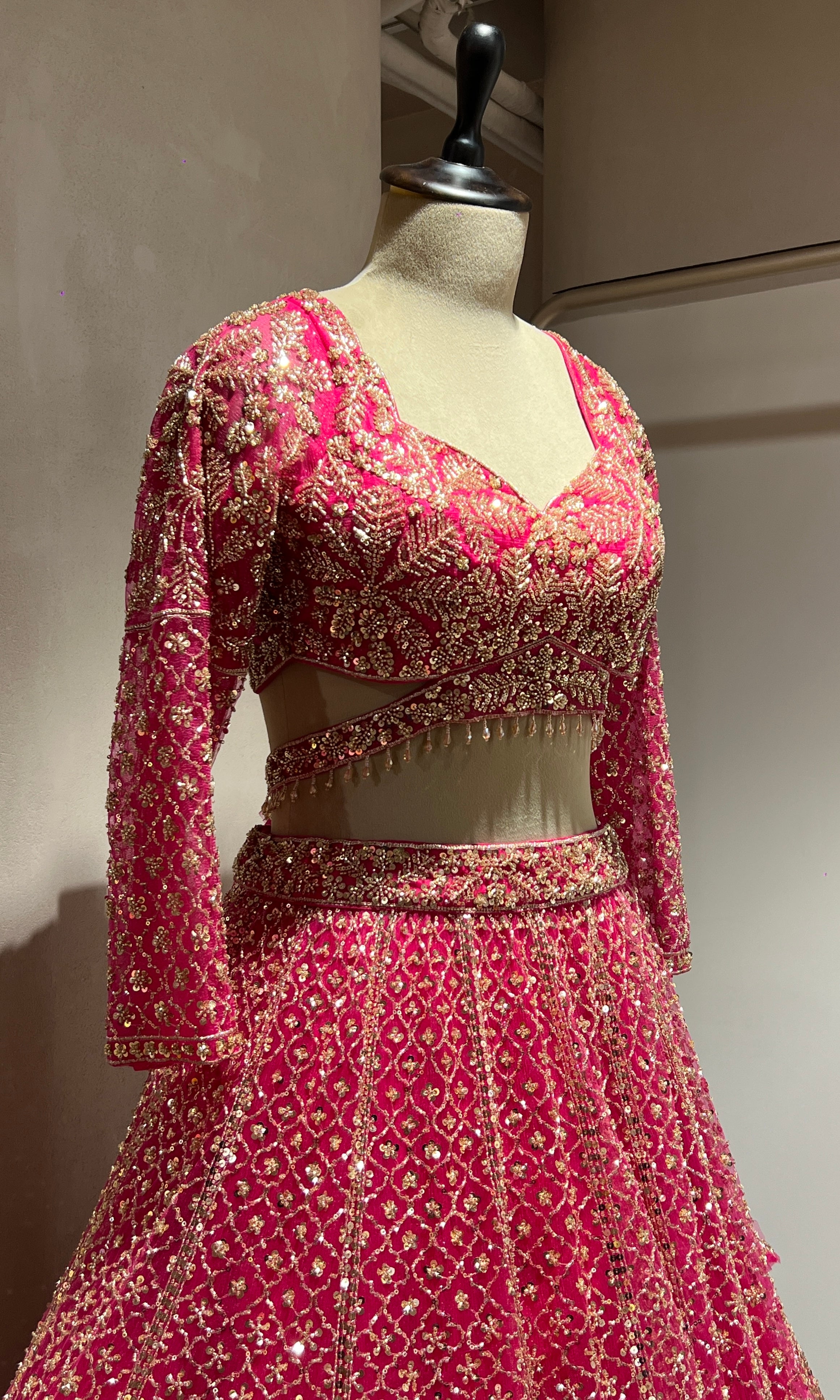 Rani FLORAL INTRICATE EMBROIDERY LEHENGA
