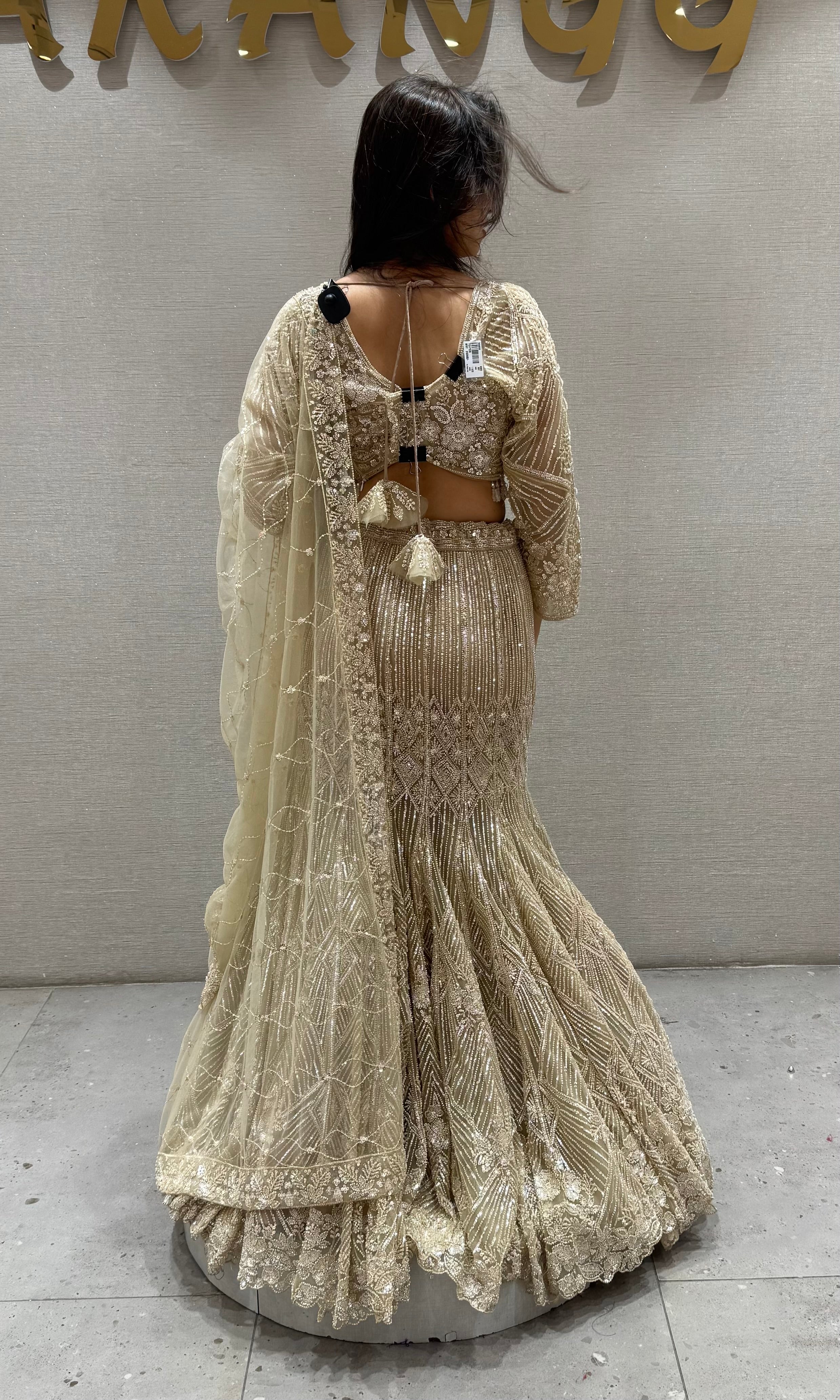 Fawn Net Embroidered Lehenga Choli