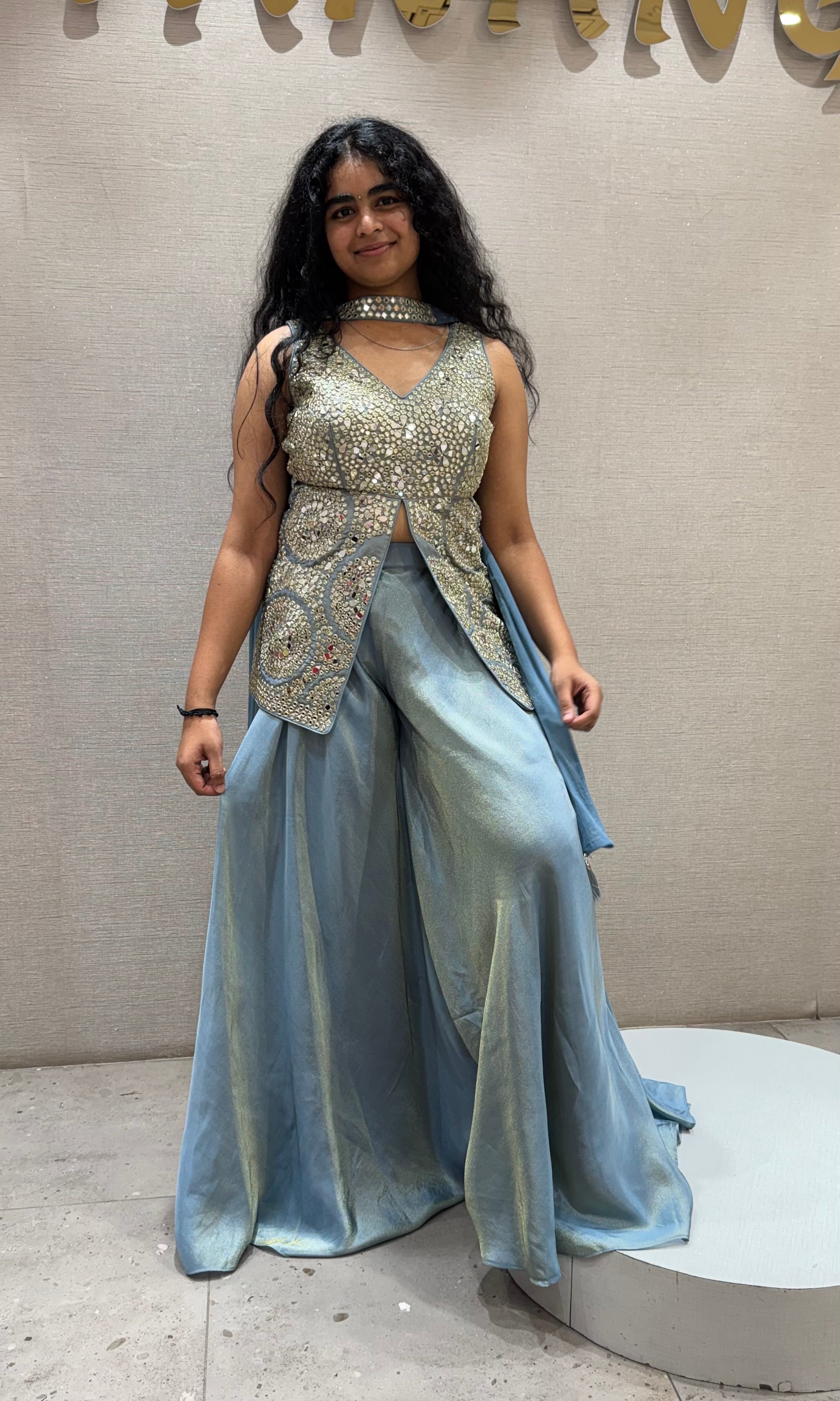 Light blue Silver Embellished Palazzo