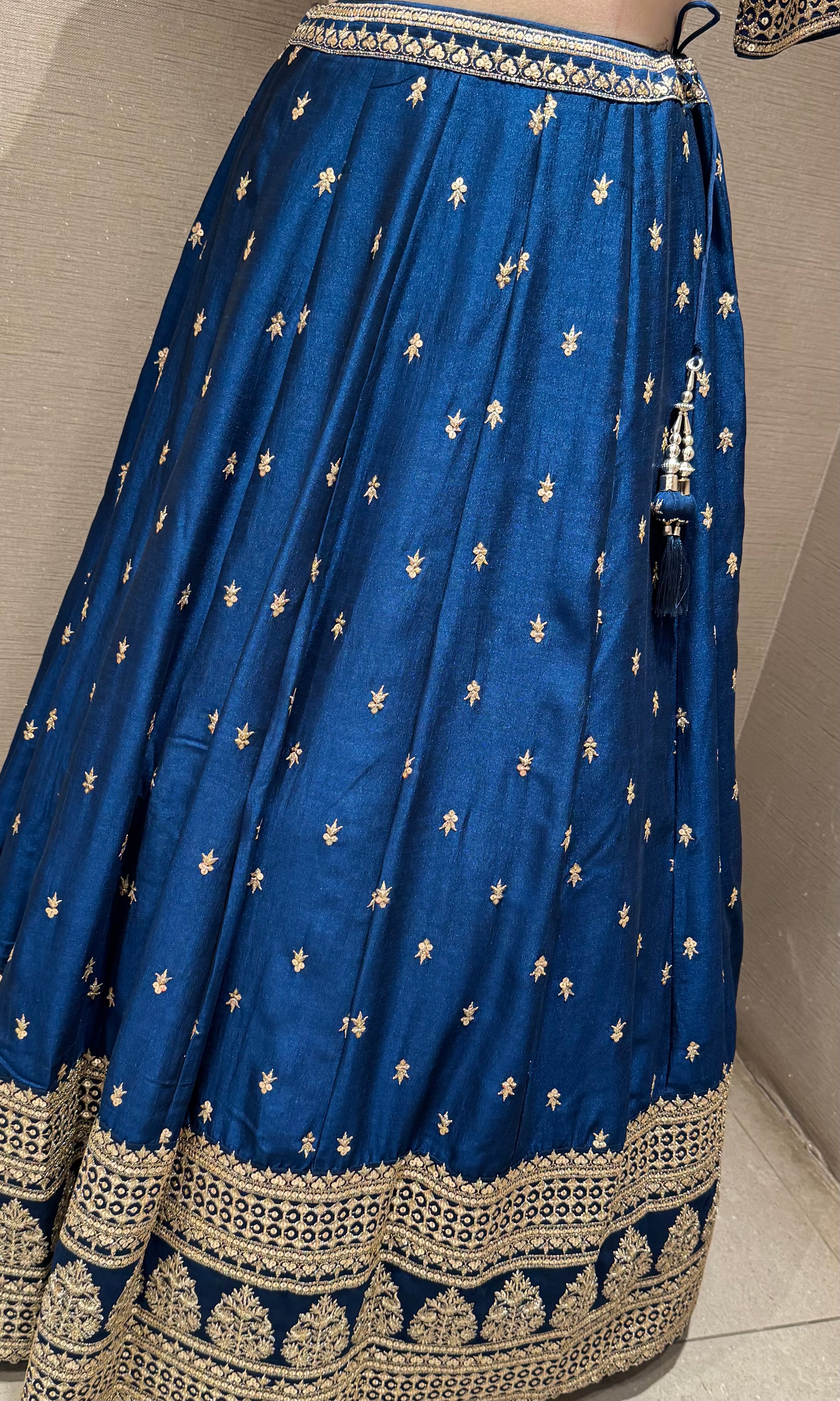 Blue Zari Embroidered Lehenga Choli