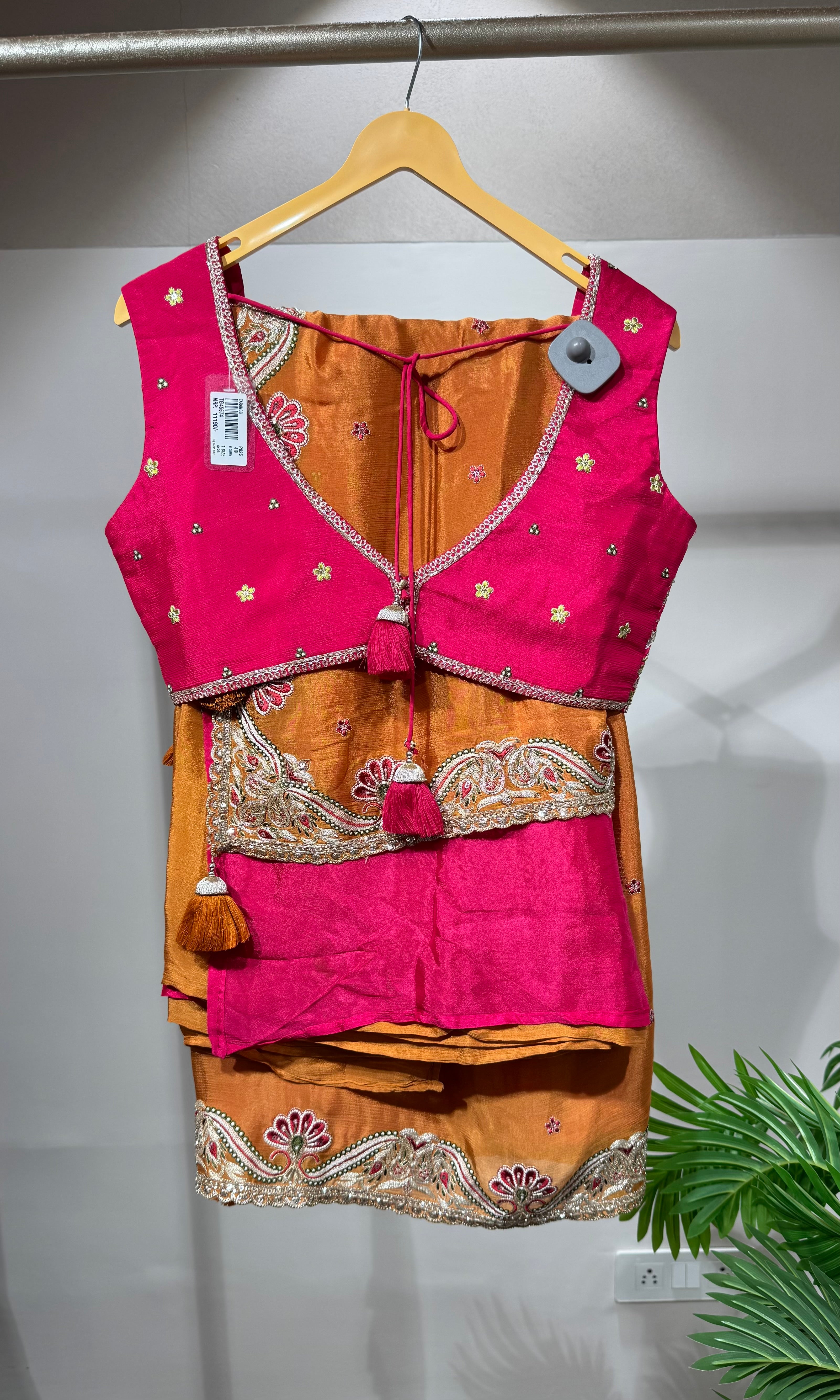 Rust saree with EMBROIDERED blouse