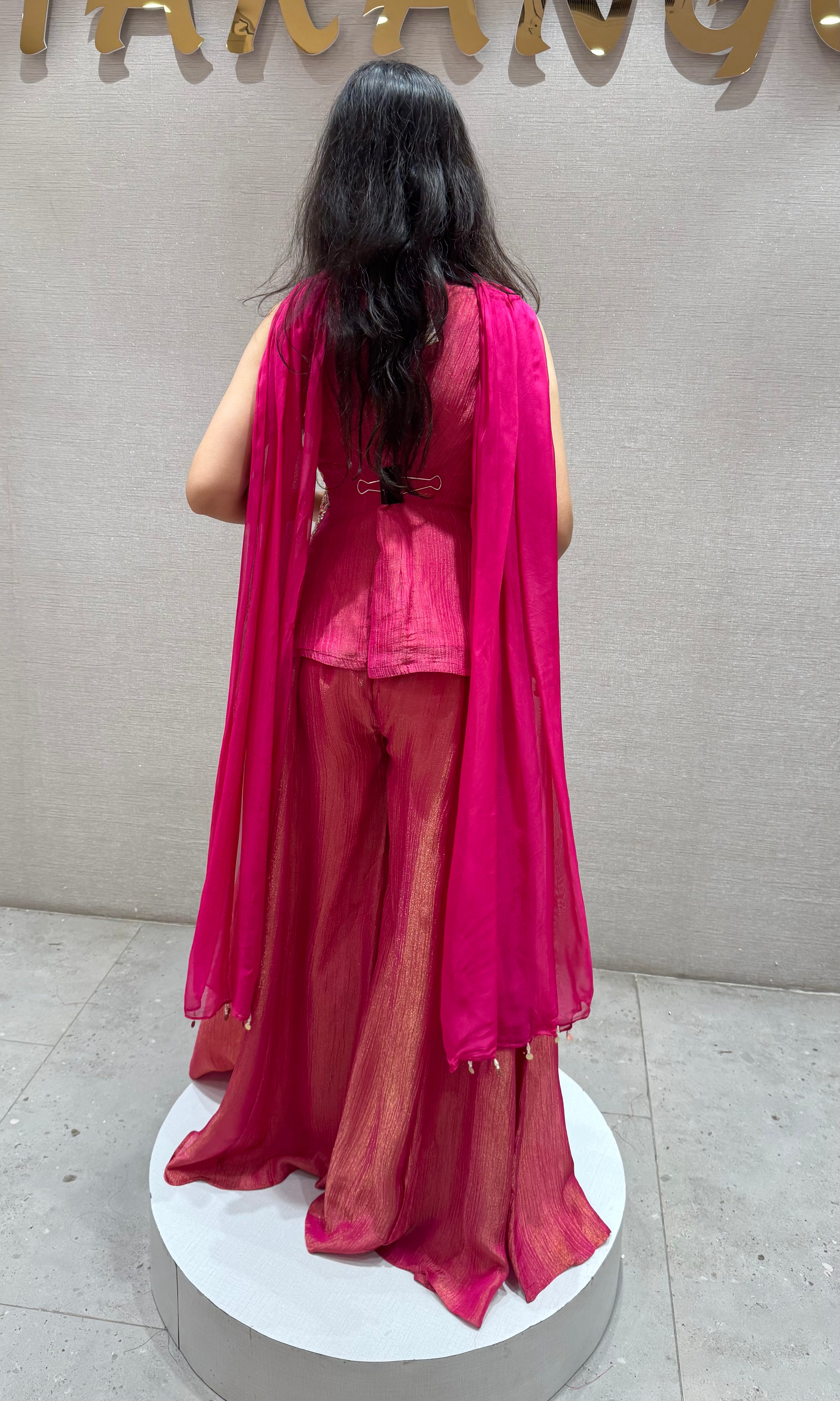 rani pink embellished palazzo set