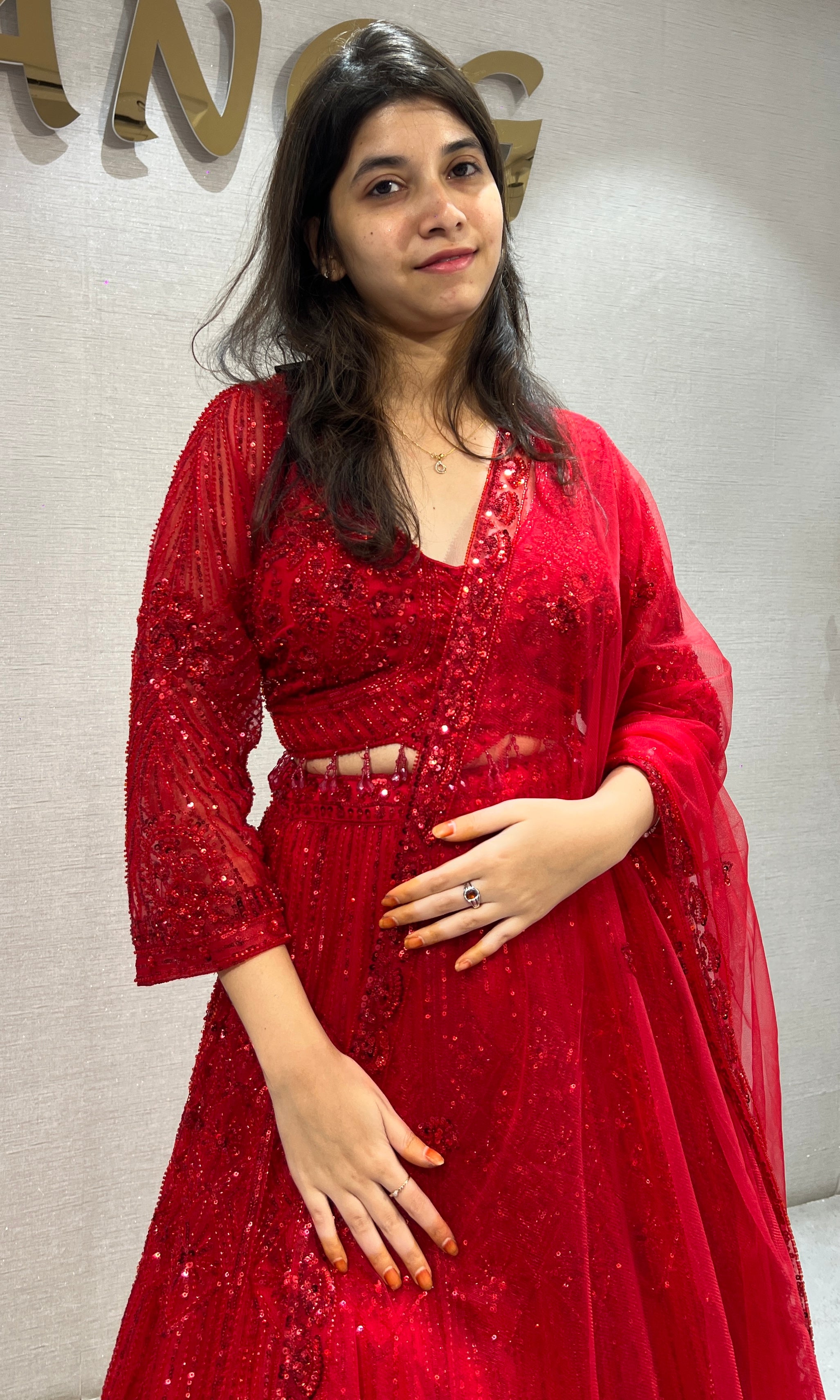 Red Embellished Lehenga set with Sheer Dupatta