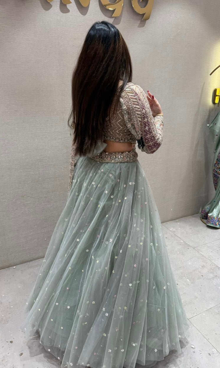 matcha green netted peacock Lehenga