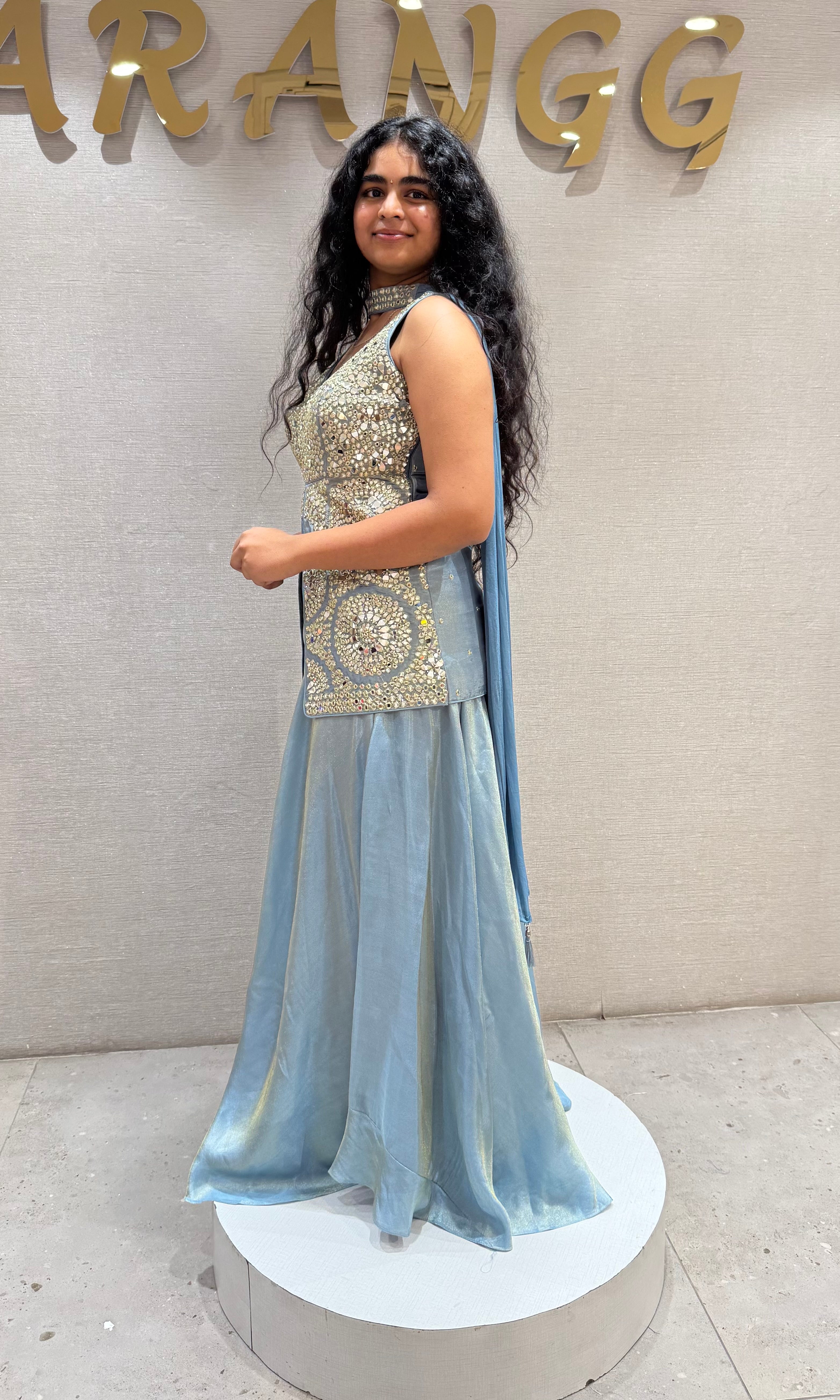 Light blue Silver Embellished Palazzo