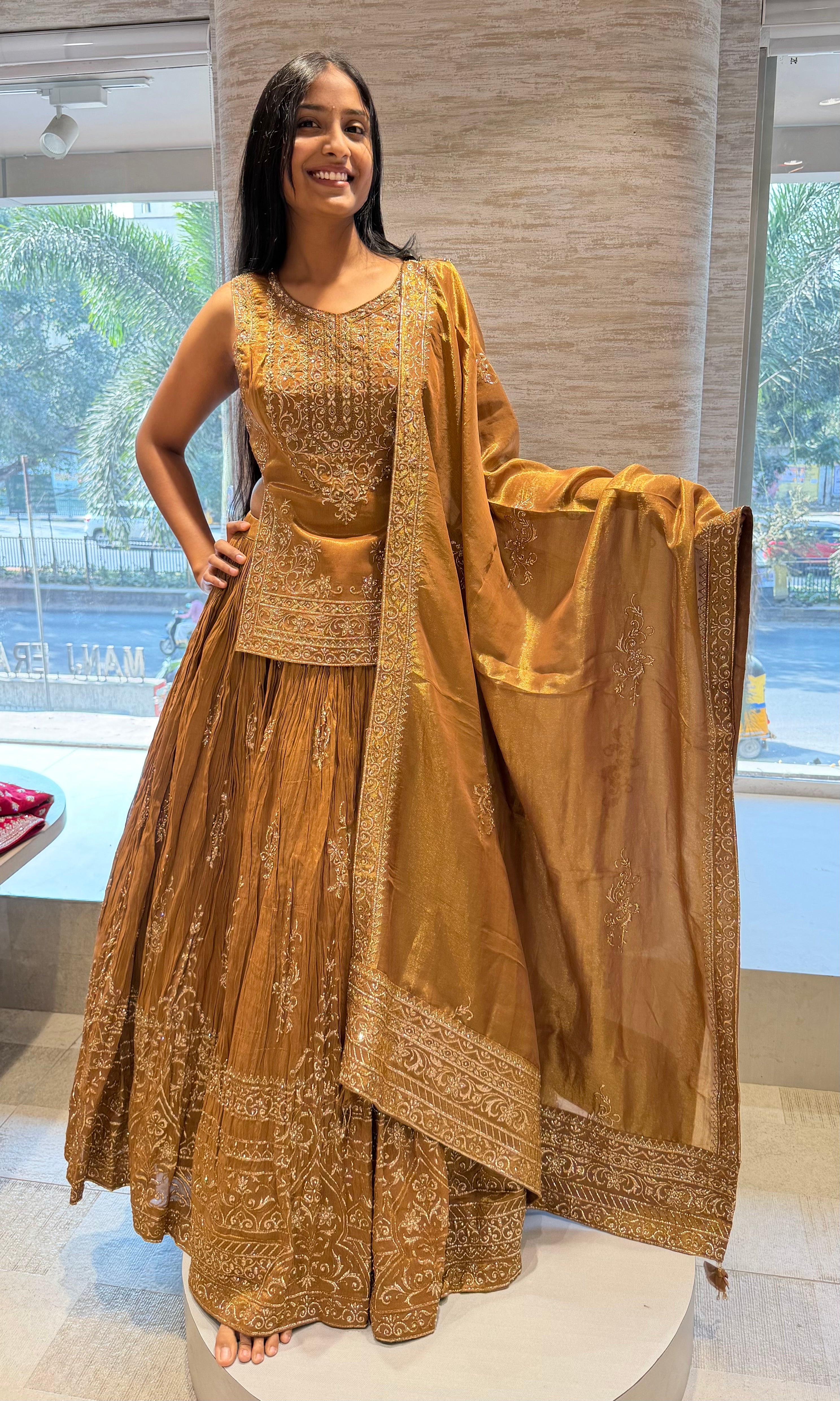 Brown Gold Heavy Embroidered Lehenga Set