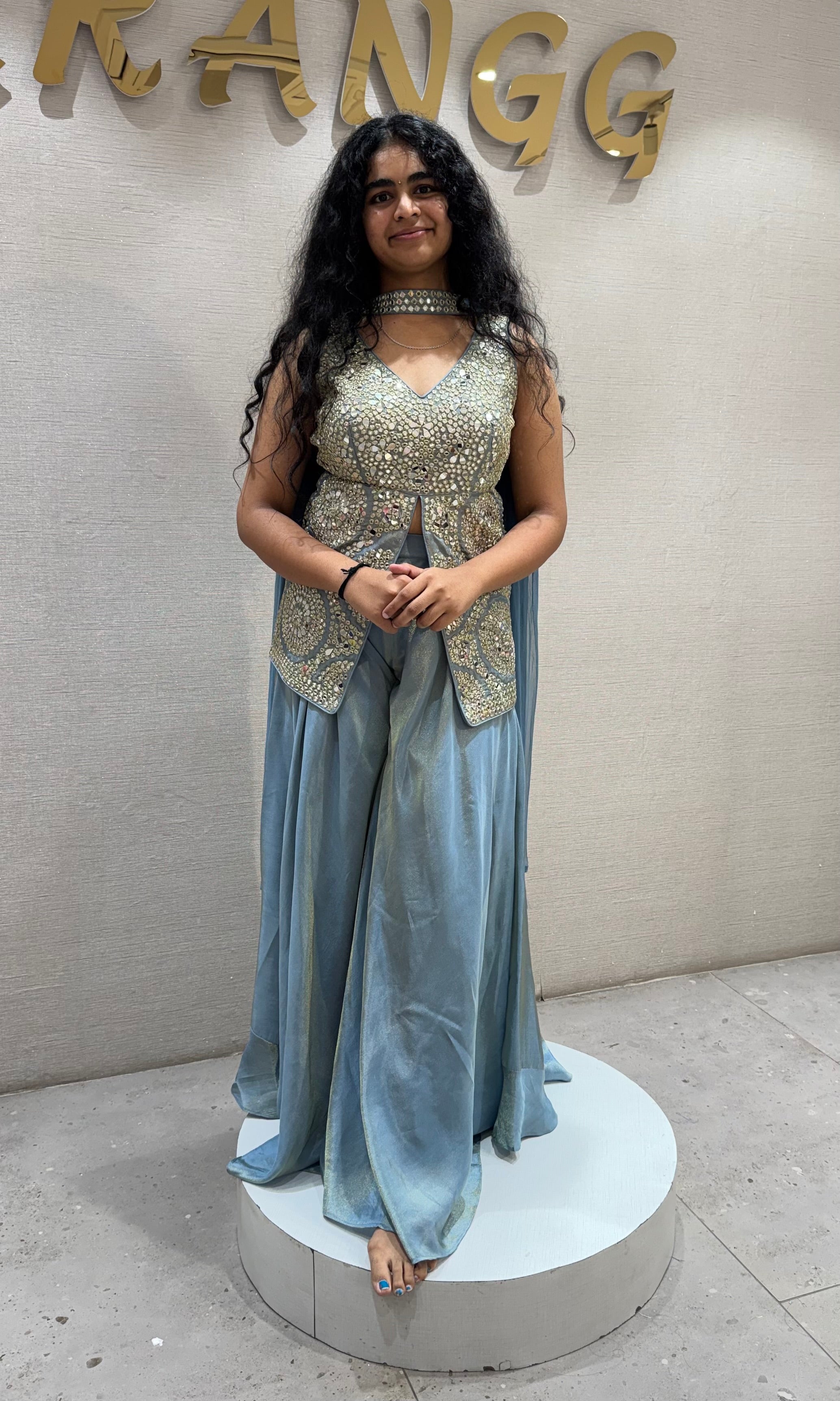 Light blue Silver Embellished Palazzo