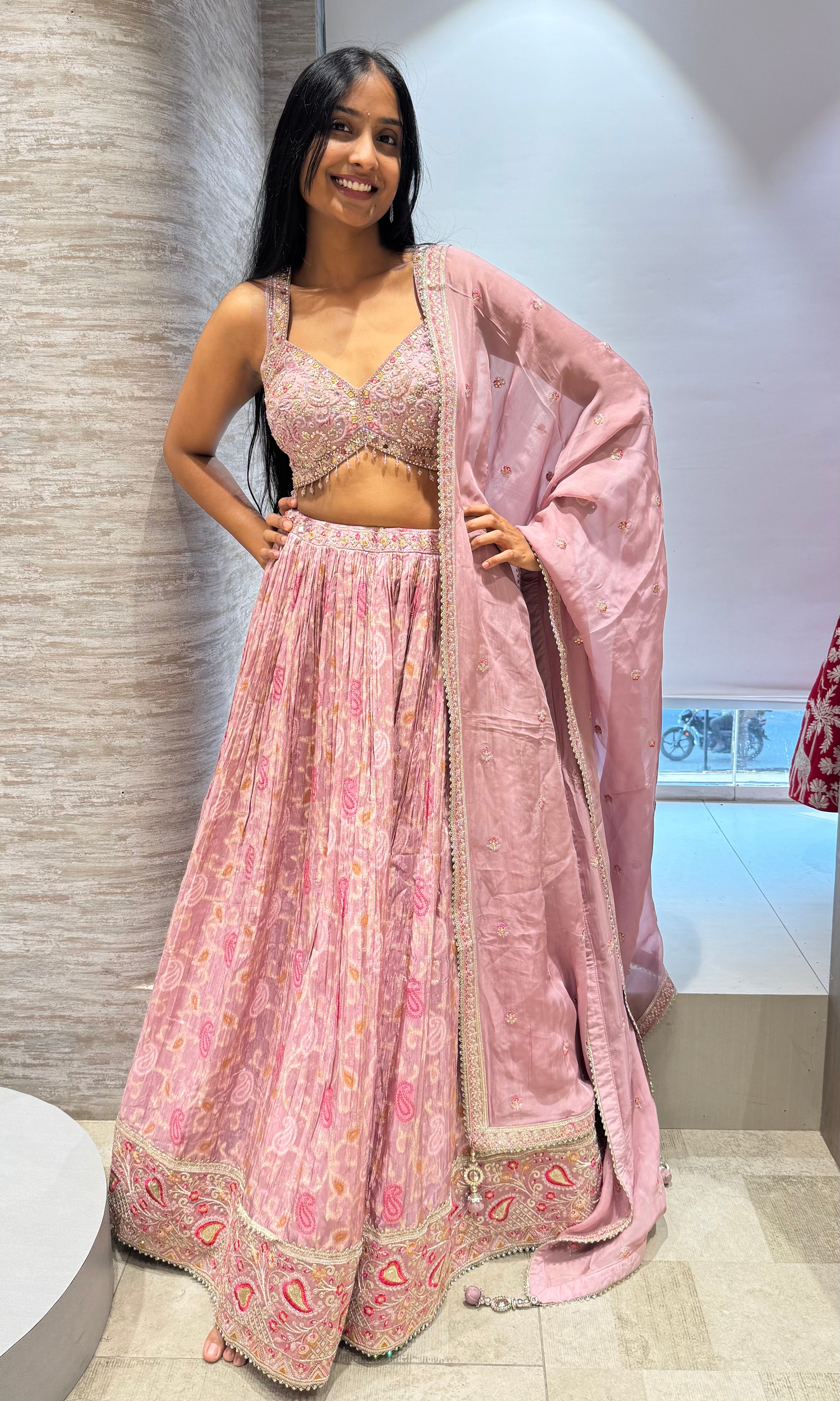 Blush Pink Embroidered Lehenga
