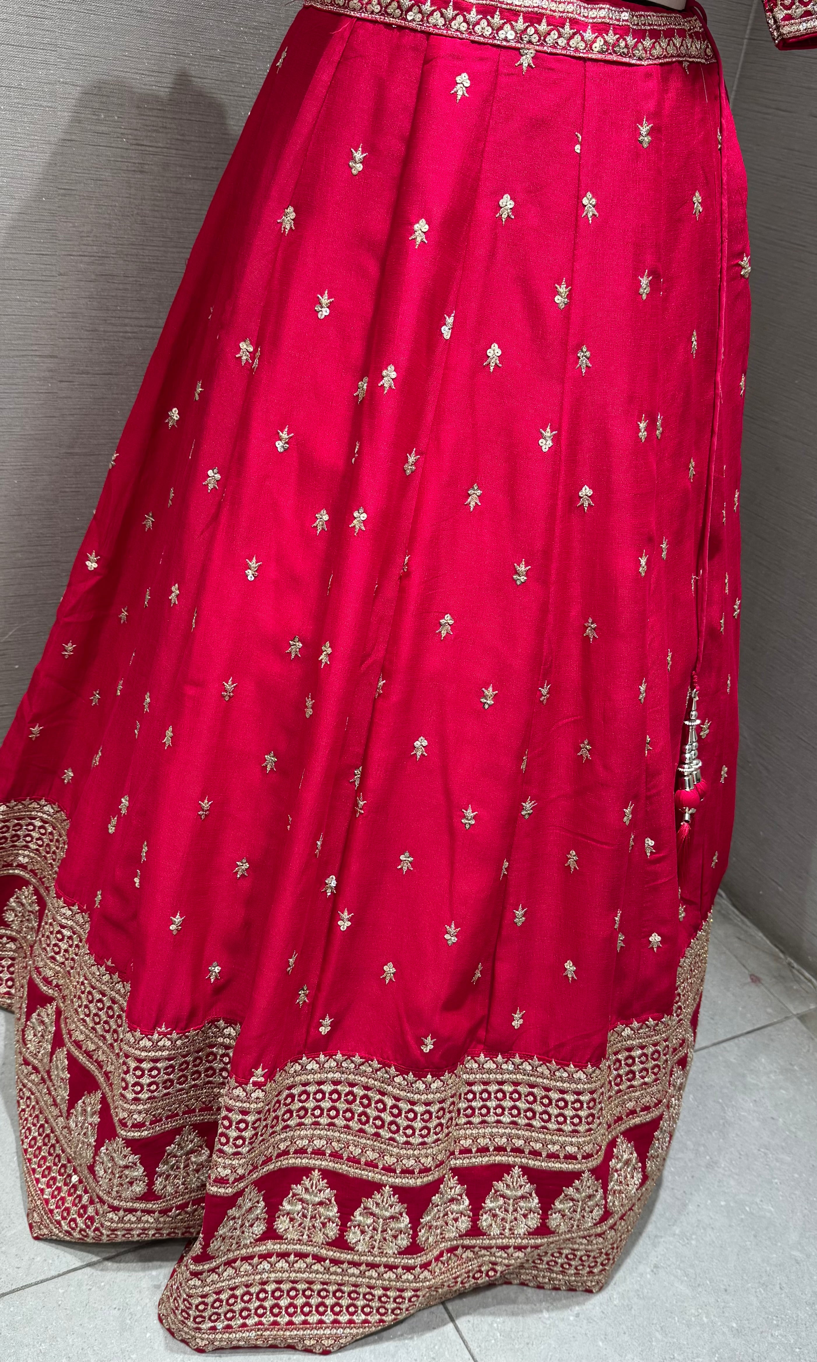 Rani Zari embroidered lehenga choli