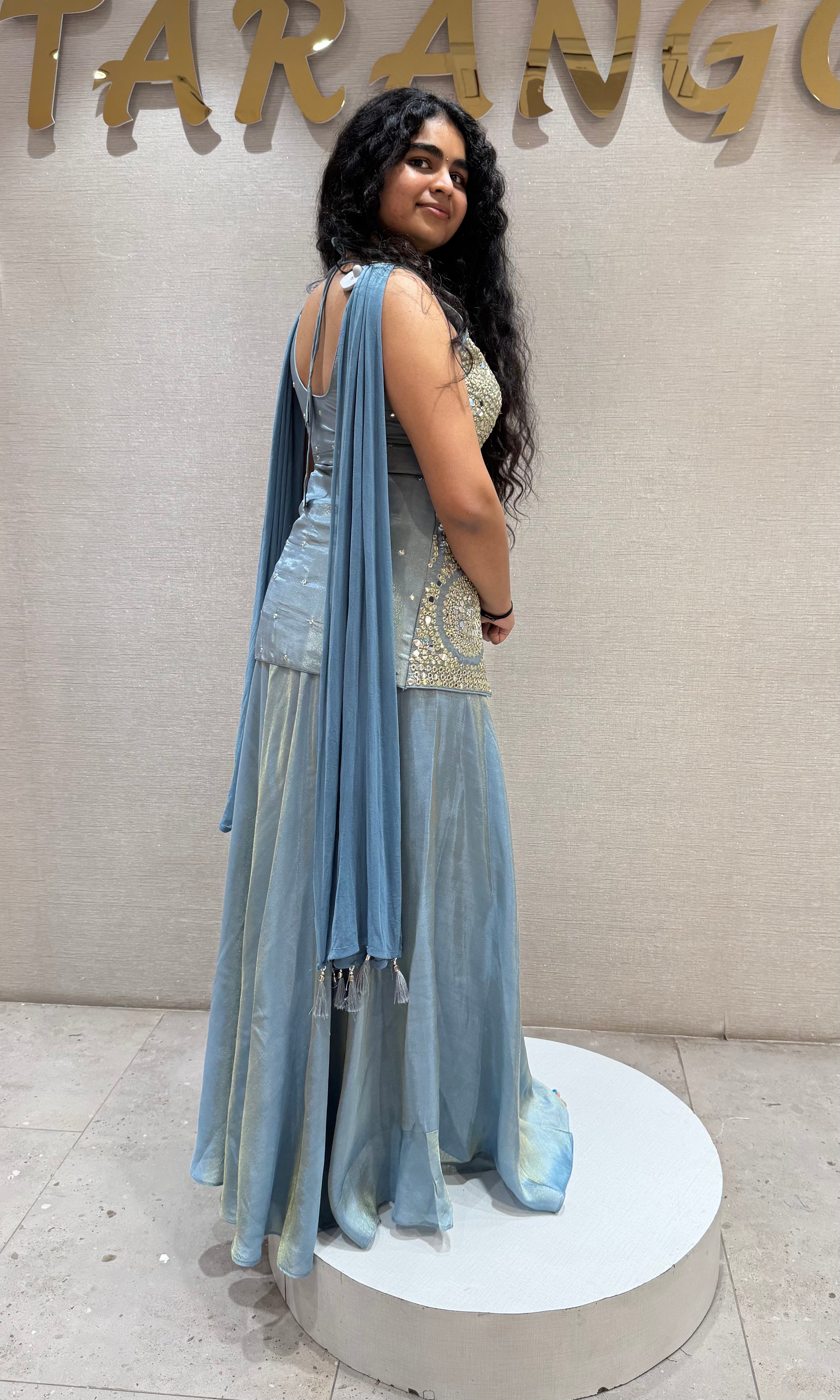 Light blue Silver Embellished Palazzo