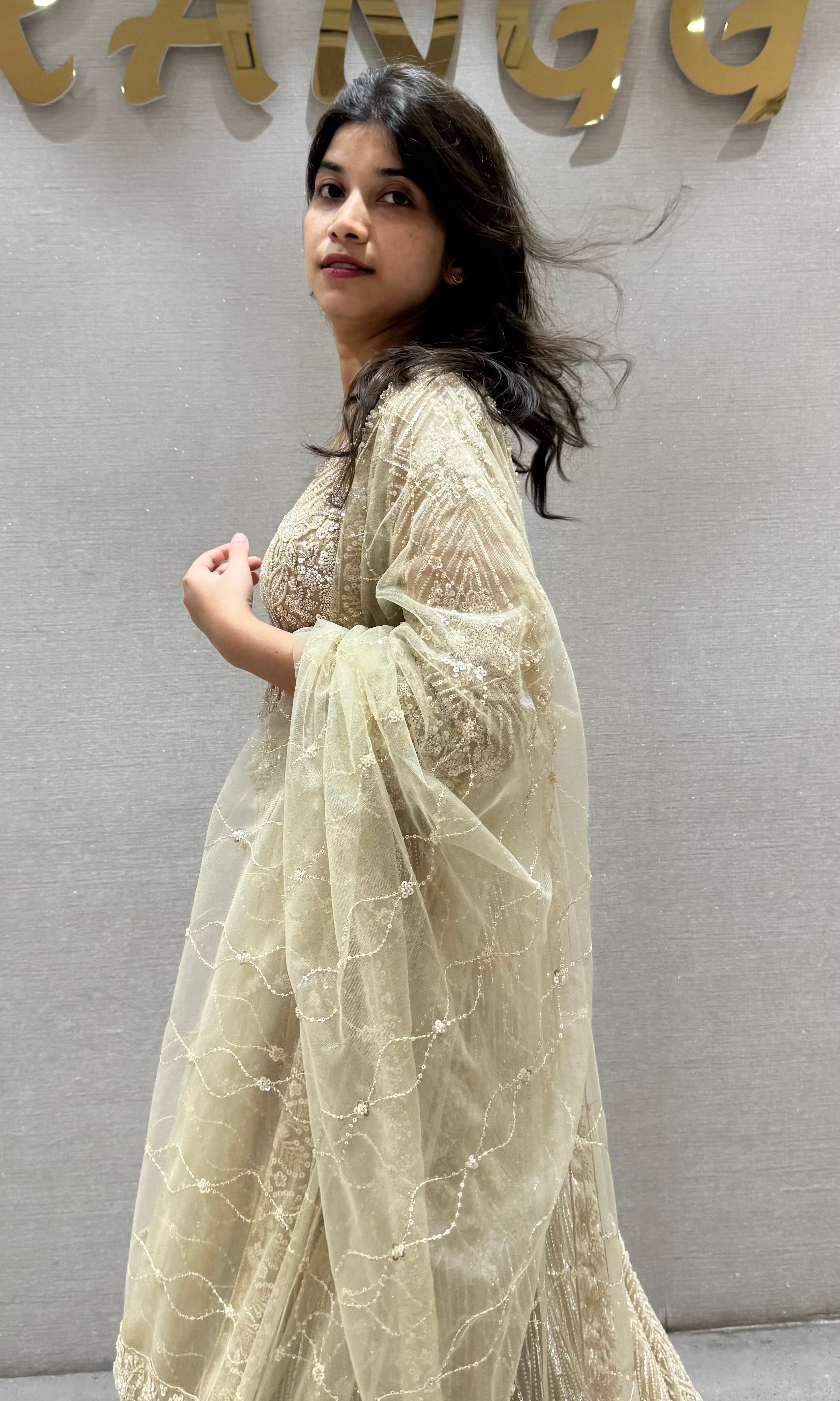 Fawn Net Embroidered Lehenga Choli