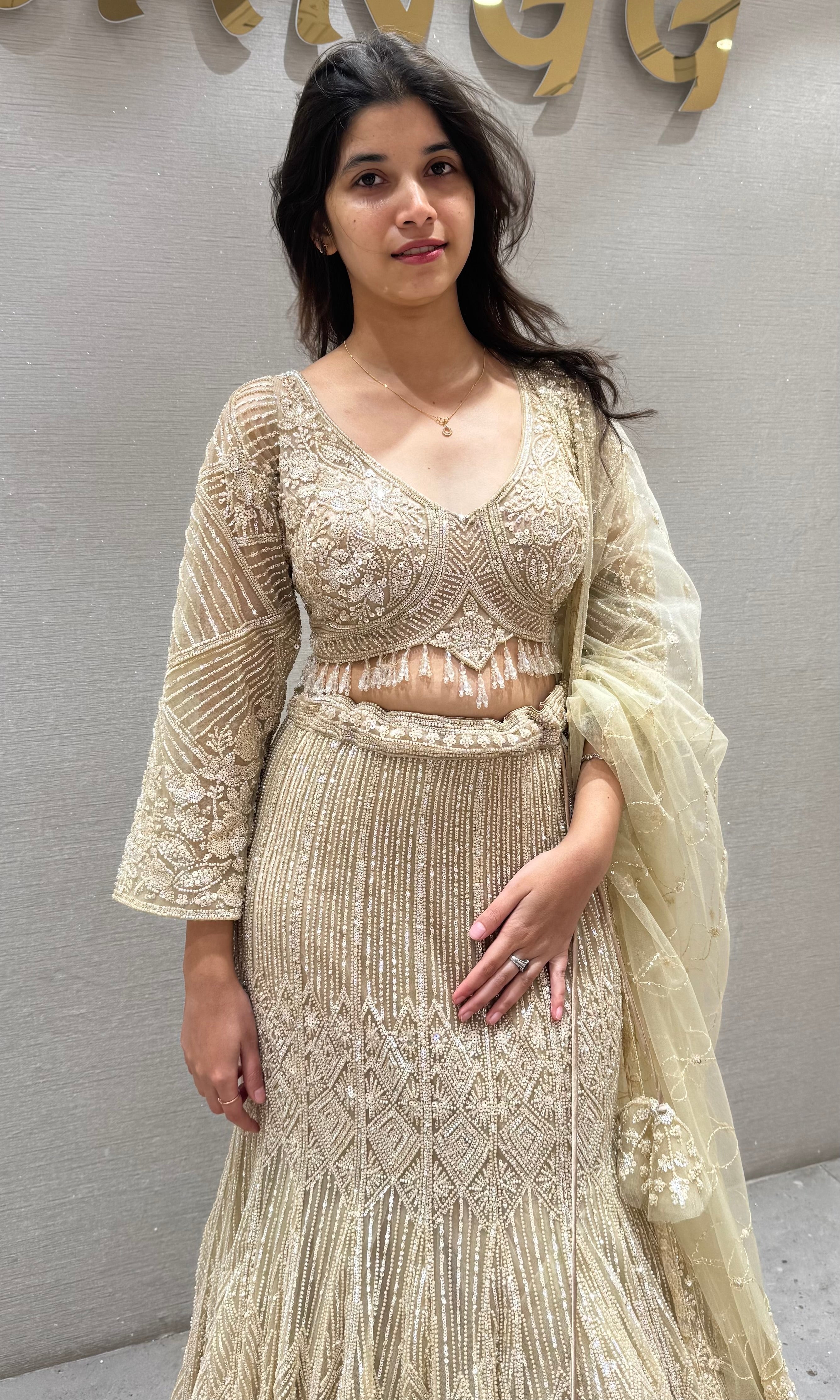 Fawn Net Embroidered Lehenga Choli