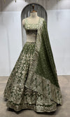 Mehendi Green Net Cord Embroidery Lehenga