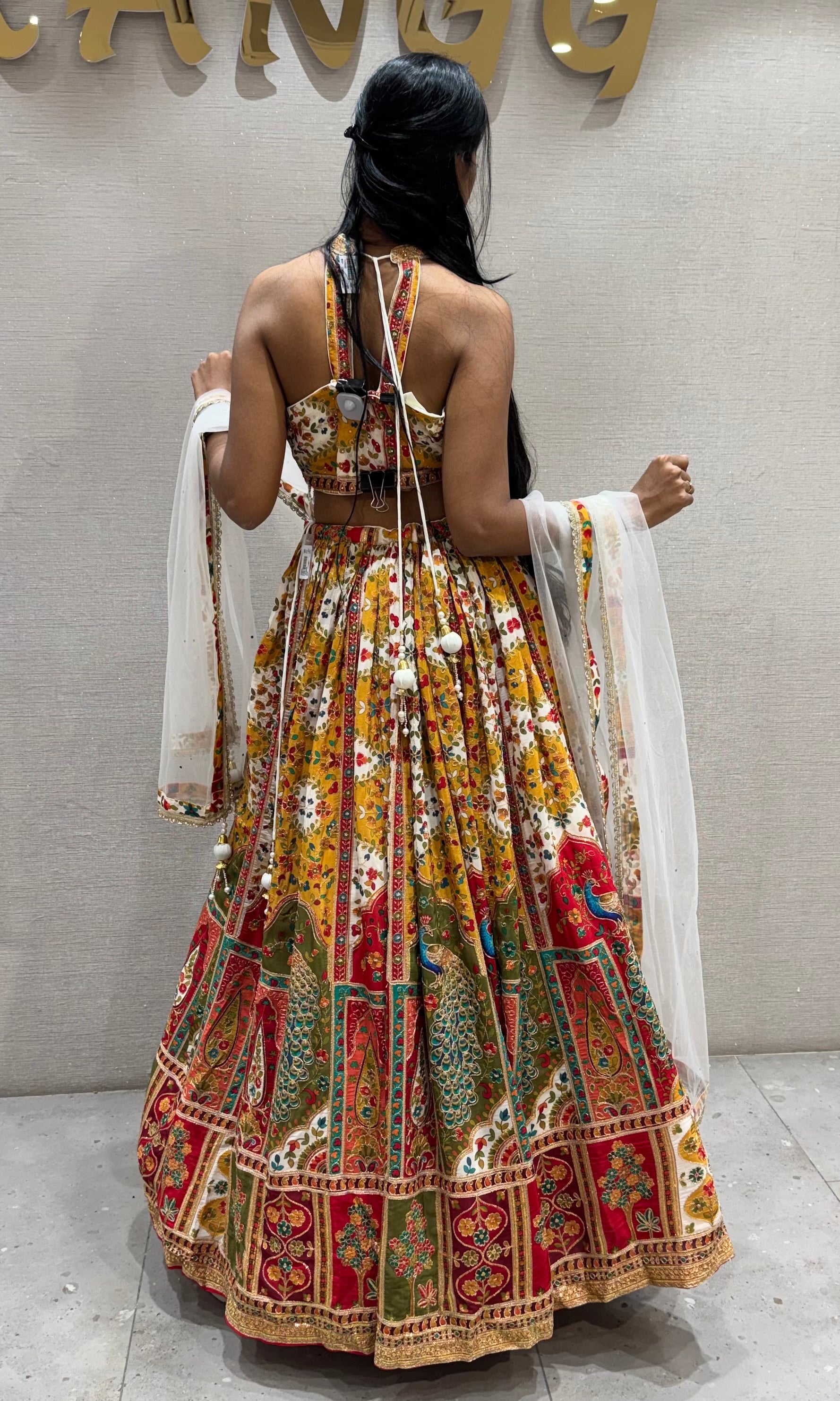 Multicolor Printed embroidered lehenga