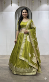Mehendi Green Banarasi Silk Lehenga