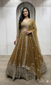 BROWN Embroidered Lehenga with Dupatta