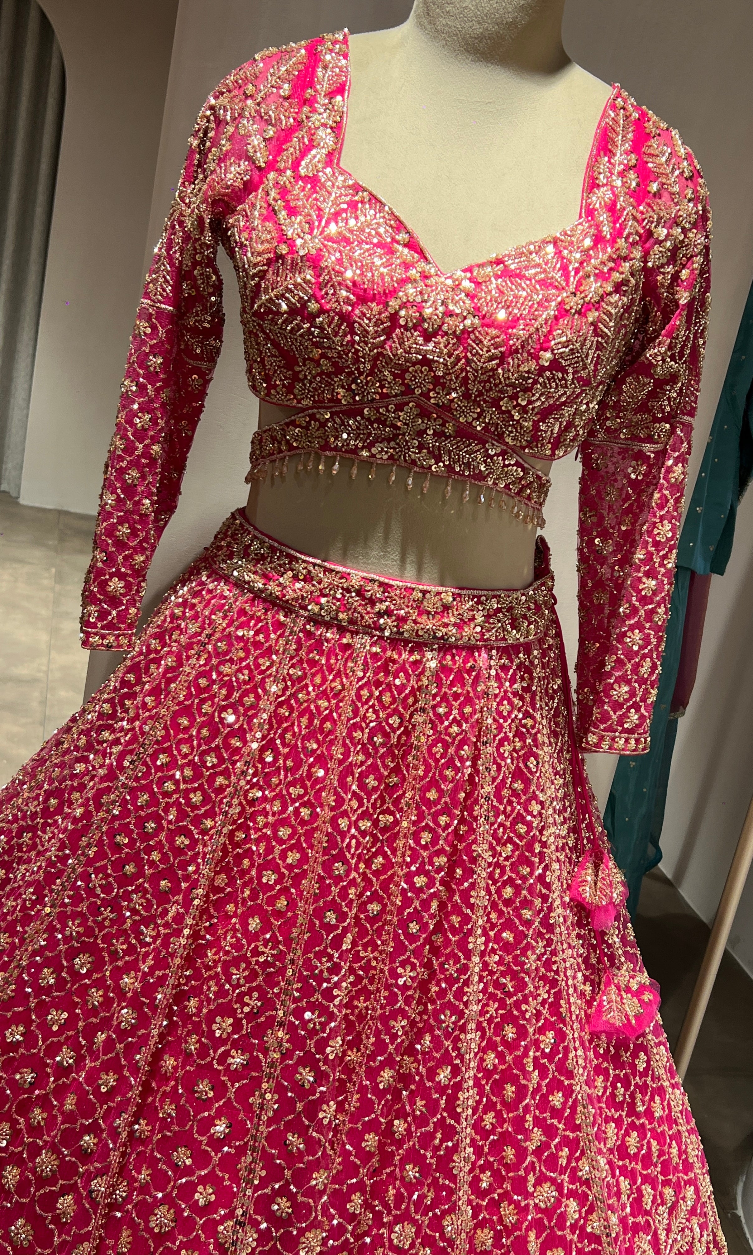 Rani FLORAL INTRICATE EMBROIDERY LEHENGA