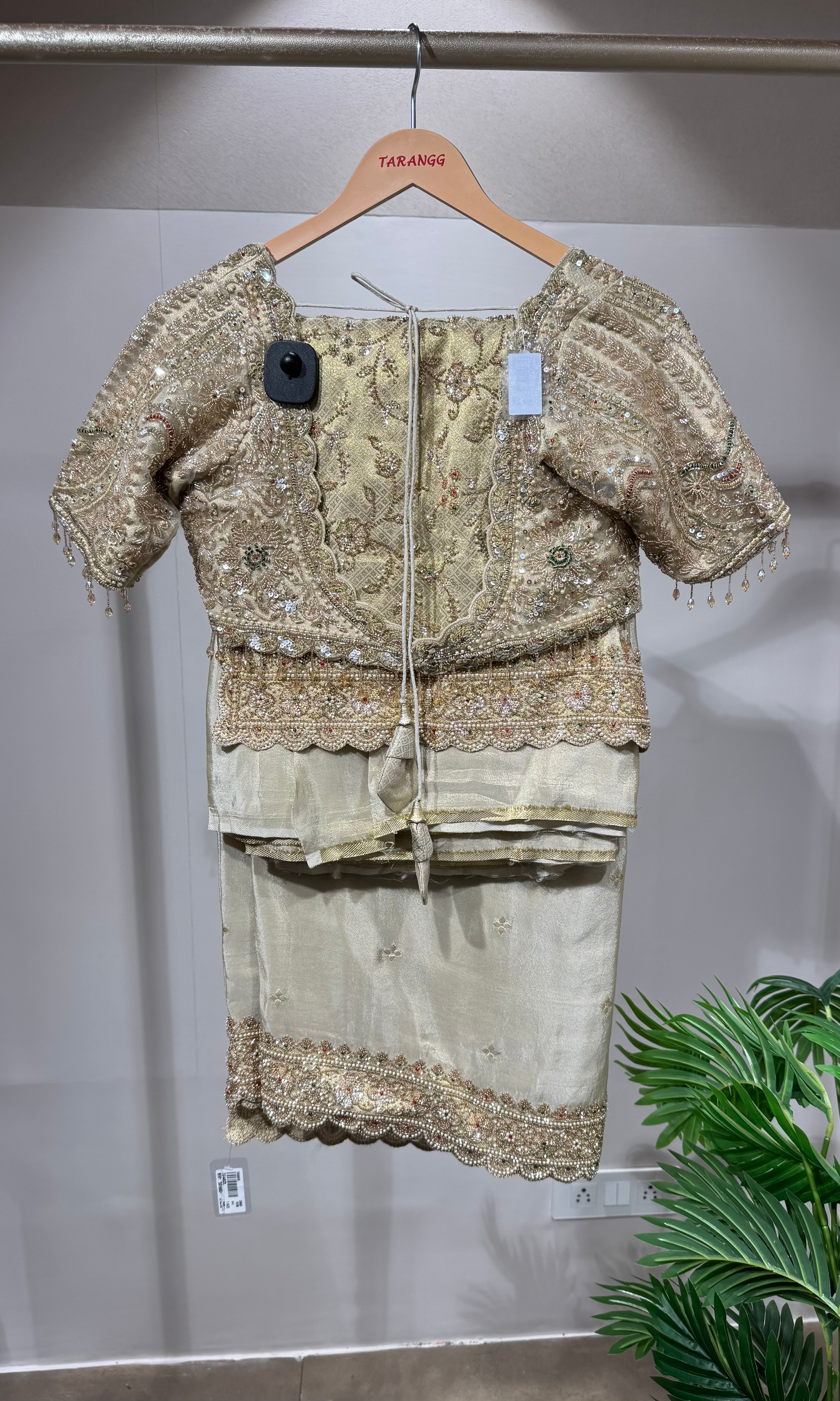 Gold Banarasi Saree with Embroidered Blouse