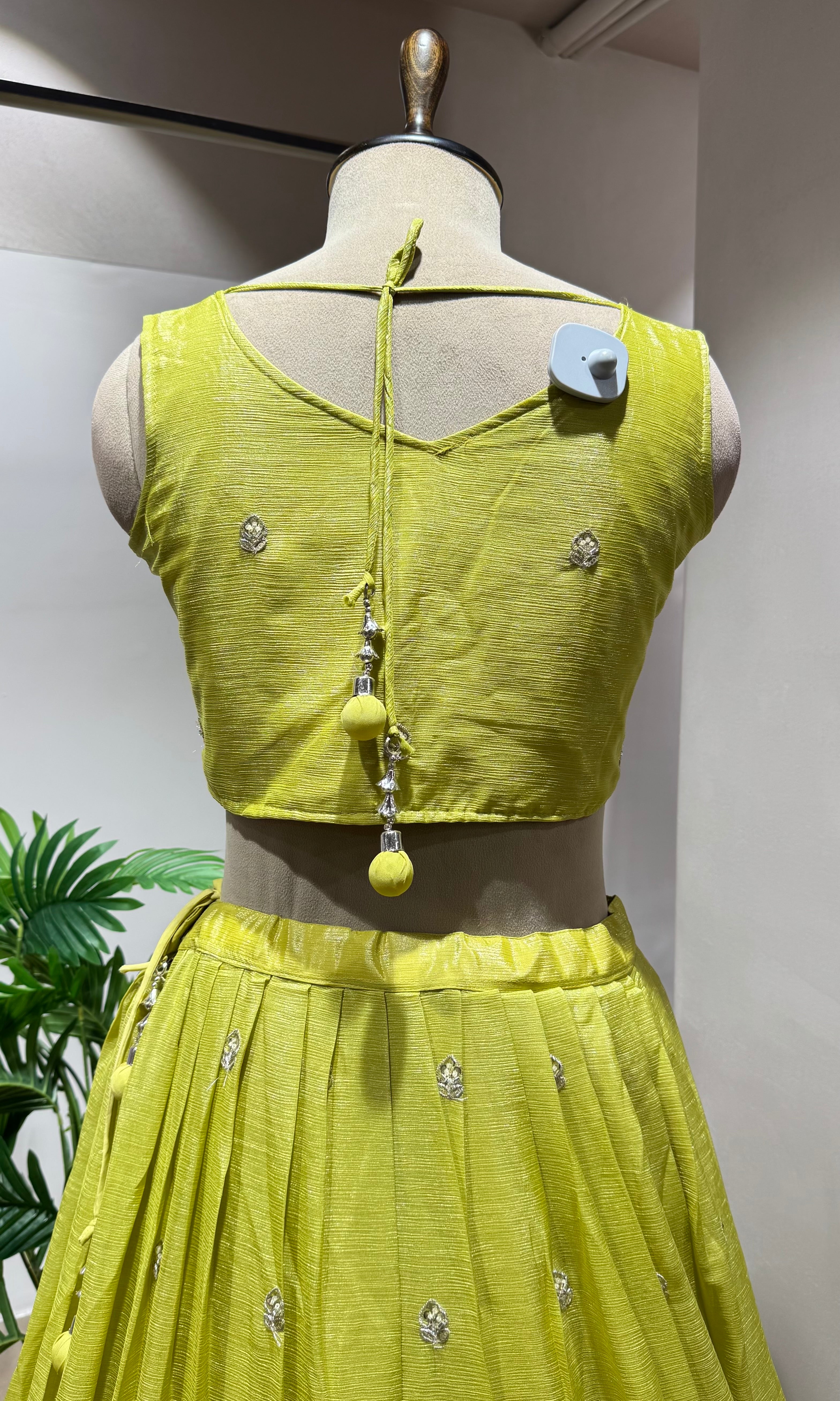 Green Lehenga with Embroidered Border
