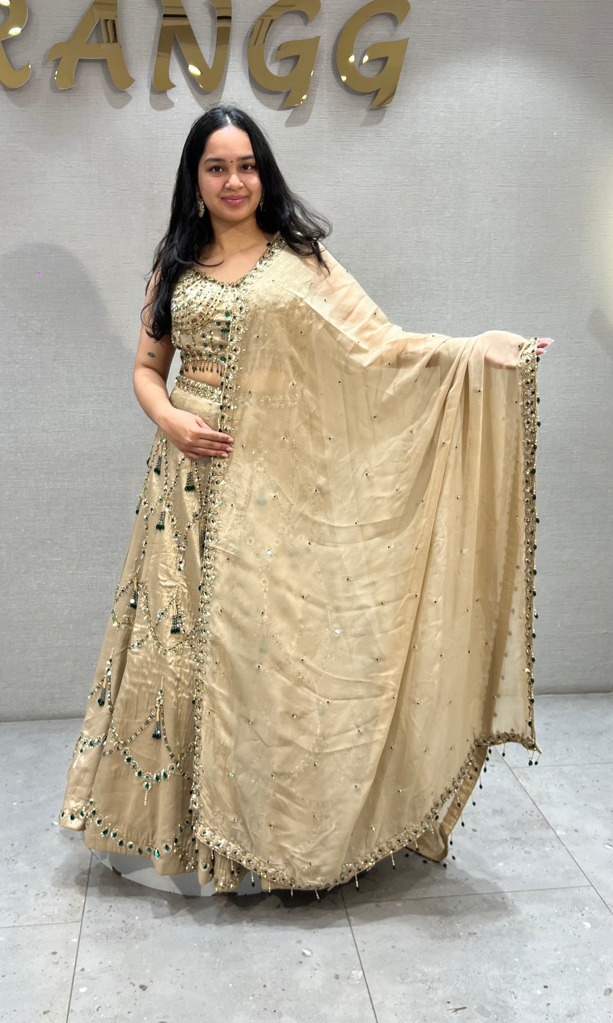 Beige Gold Georgette Embellished Lehenga Choli Set