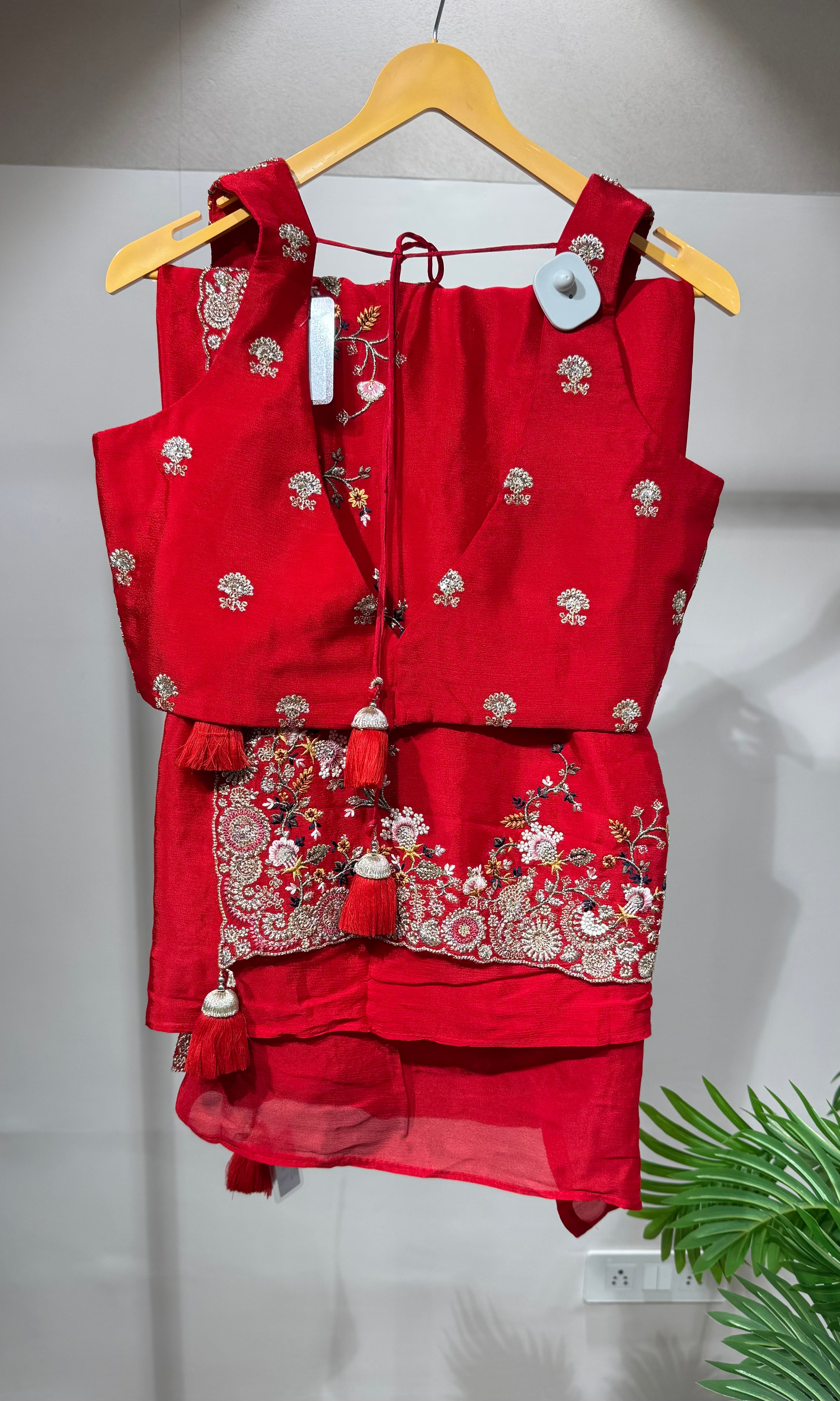 Red saree with EMBROIDERED blouse