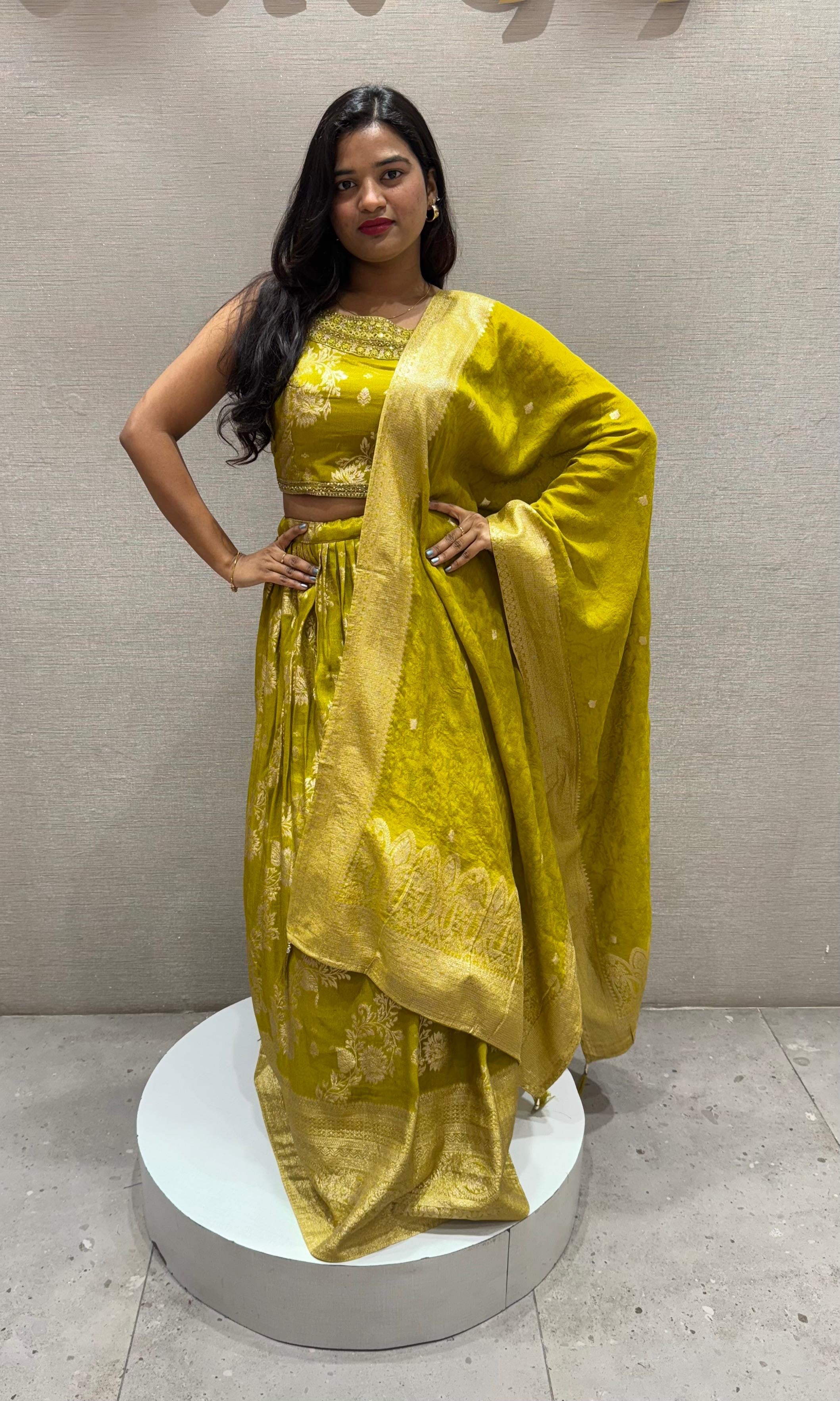 Liril EMBROIDERED Lehenga