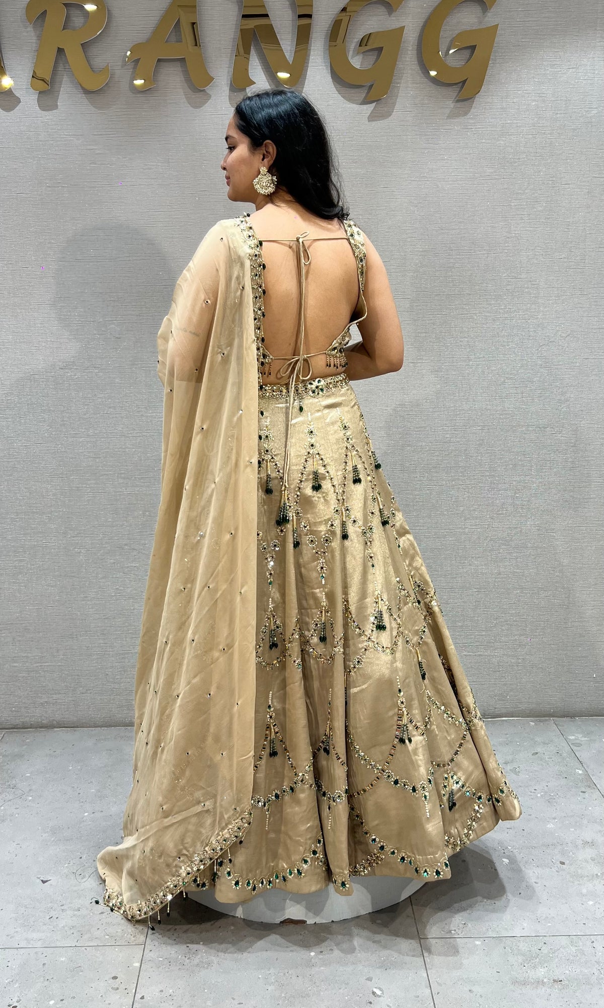 Beige Gold Georgette Embellished Lehenga Choli Set