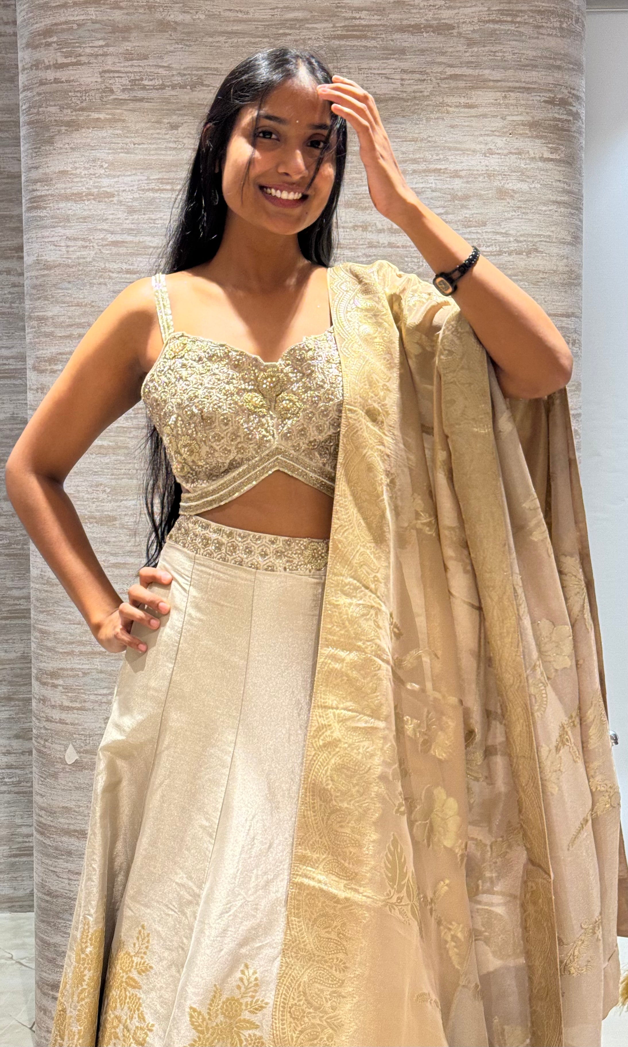 Gold Embroidered Tissue Lehenga