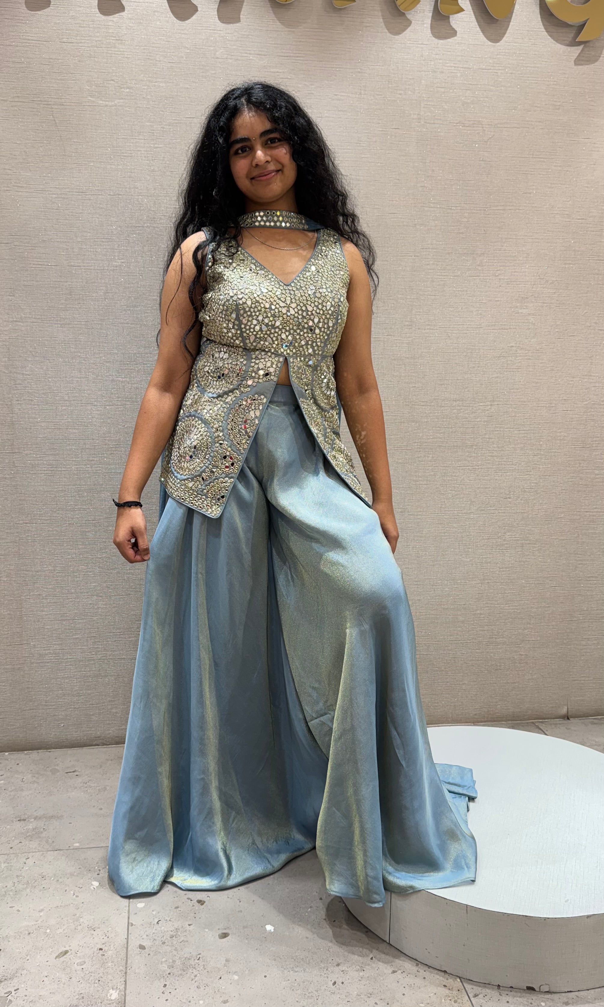 Light blue Silver Embellished Palazzo