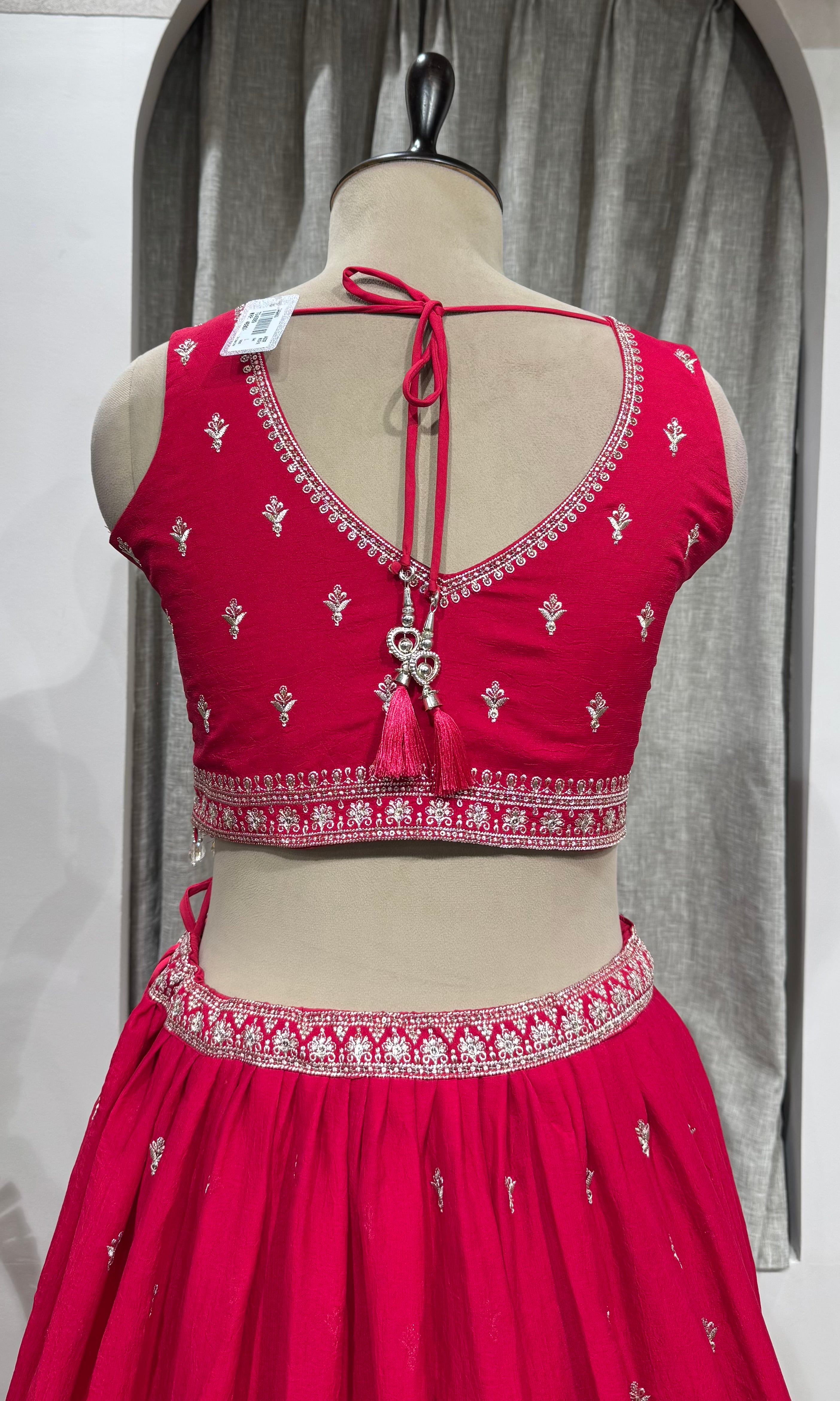 Rani Pink Lehenga with Elaborate Border Embroidery