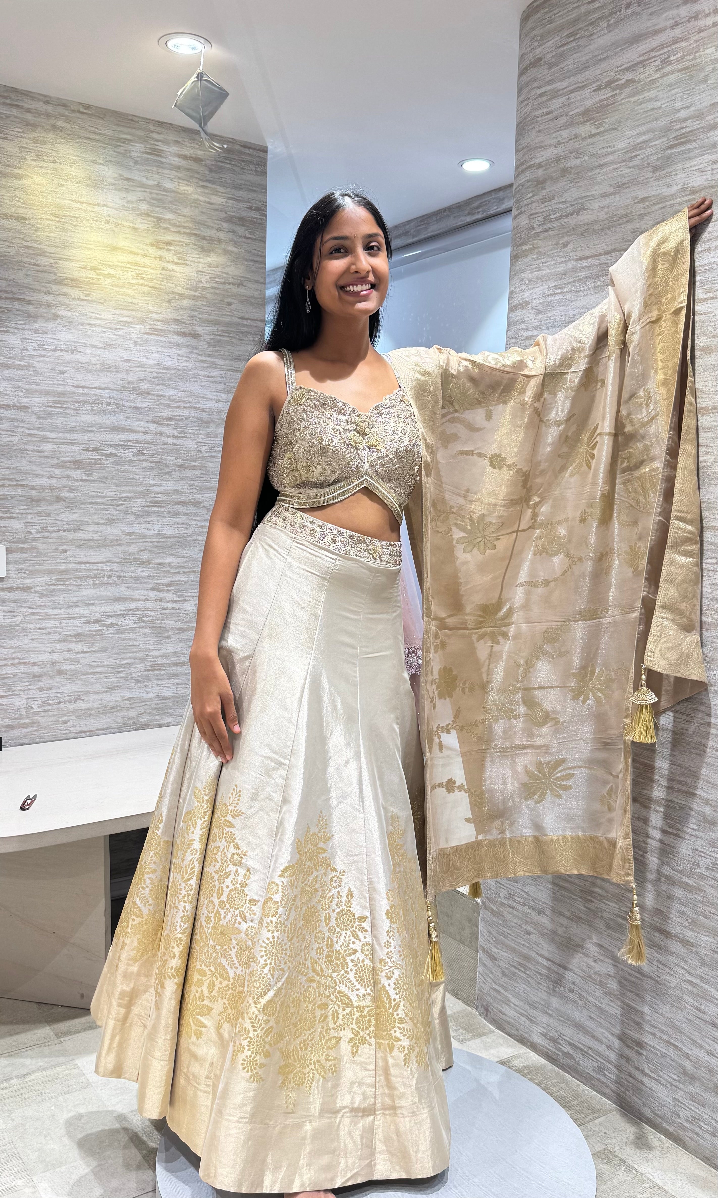 Gold Embroidered Tissue Lehenga
