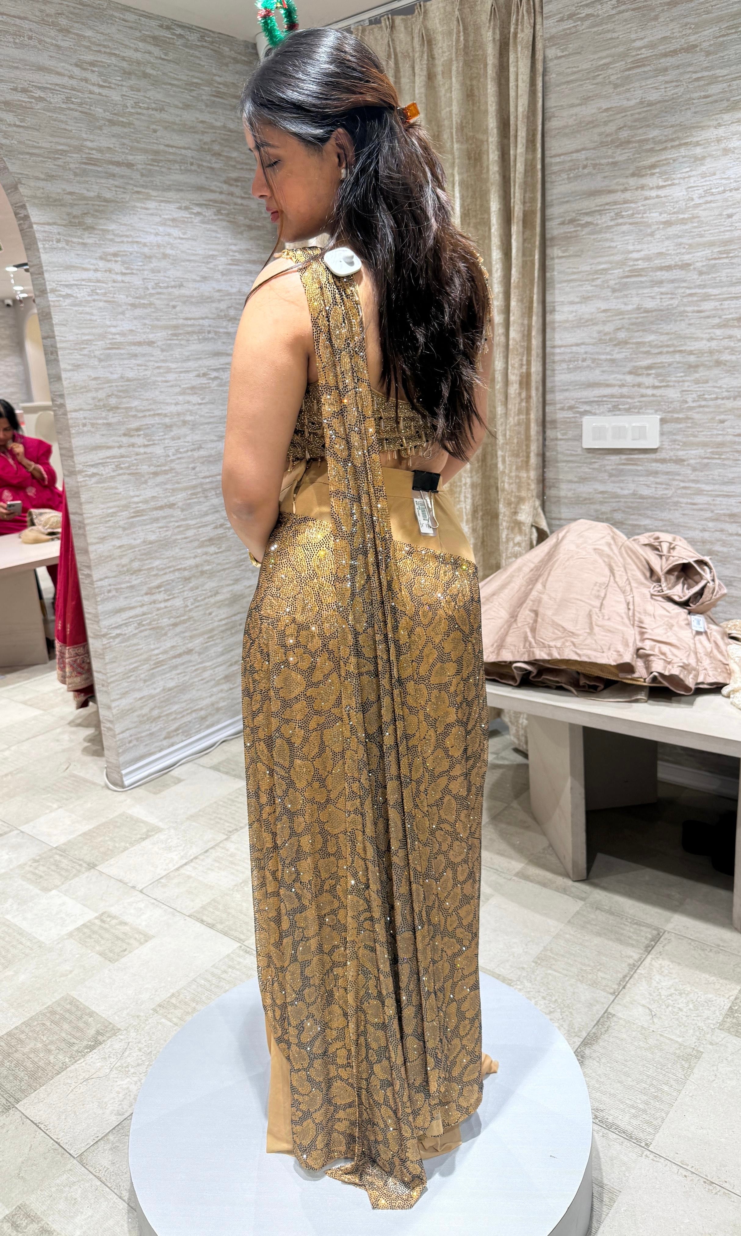 Chikoo GOLDEN drape saree