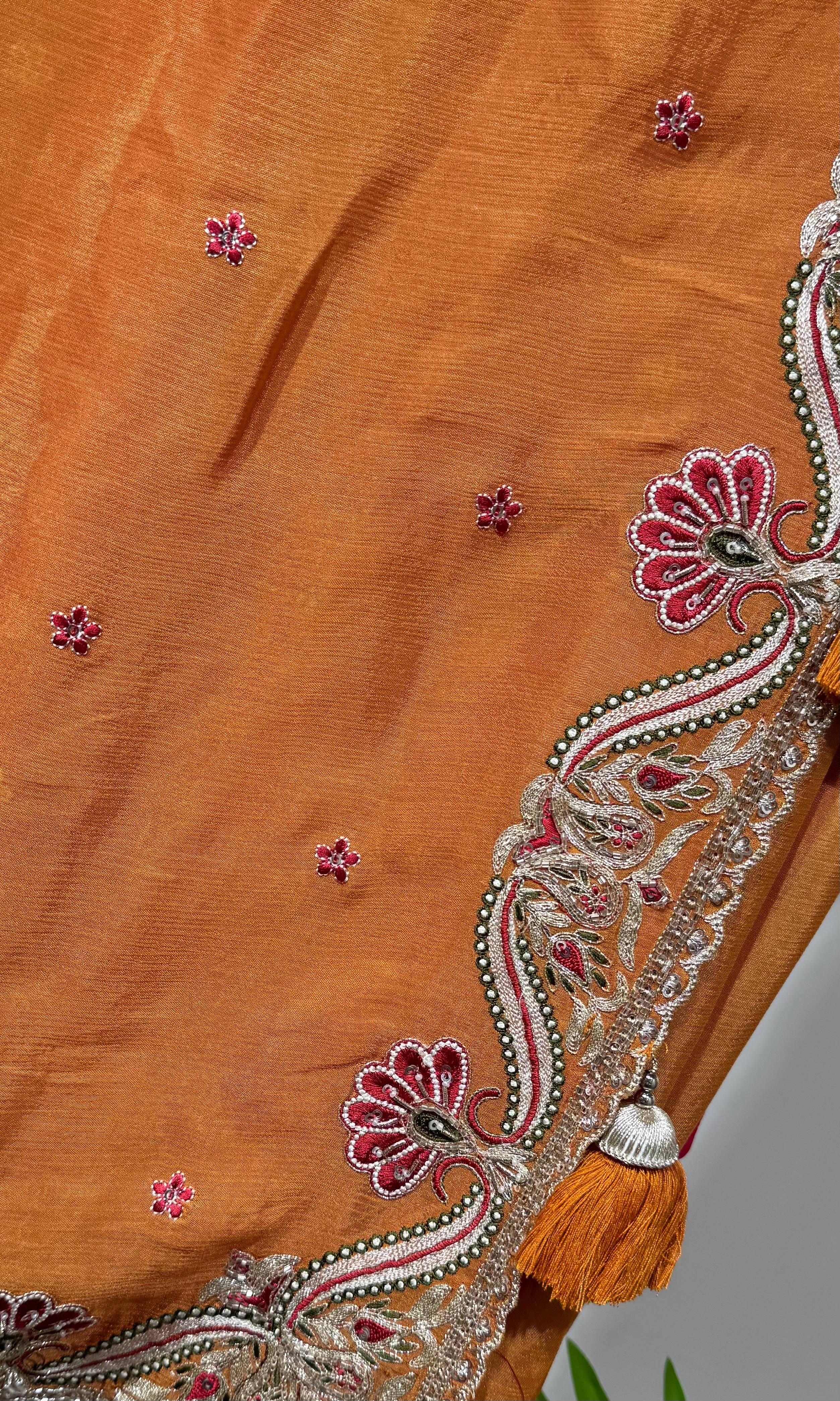 Rust saree with EMBROIDERED blouse