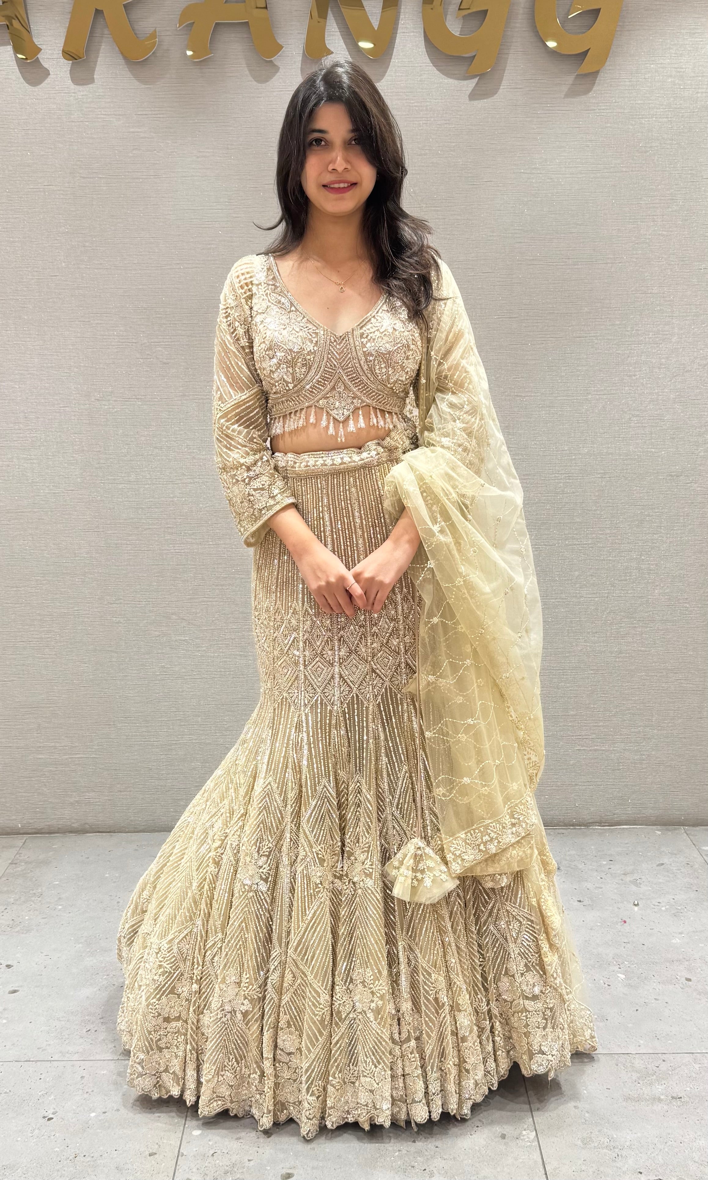 Fawn Net Embroidered Lehenga Choli