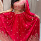 Pink Lehanga with designer blouse