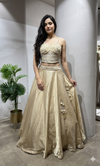 Gold and Silver shimmer silk corset blouse lehenga