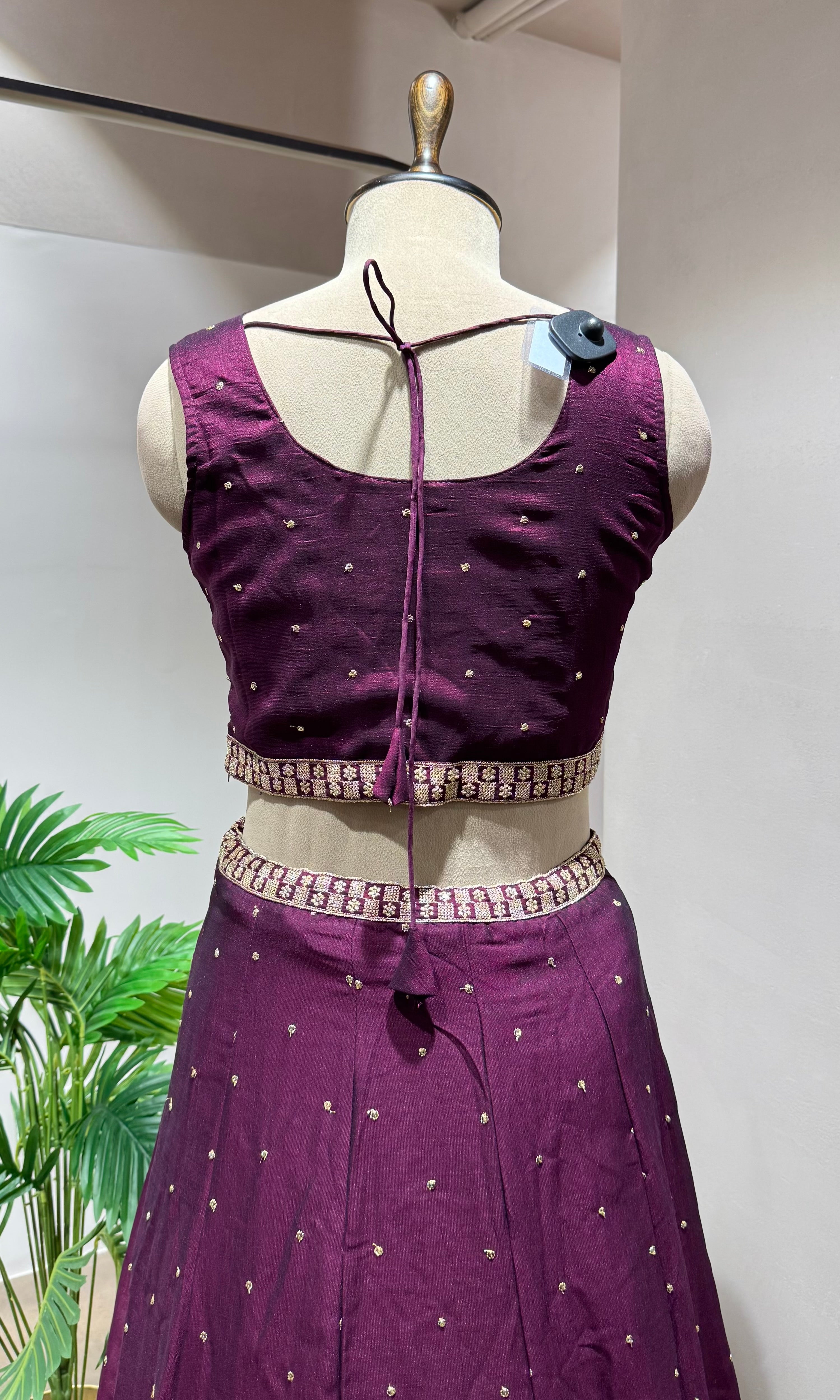 Wine Silk Lehenga with Intricate Zari Embroidery