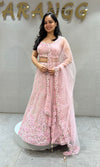 Blush Pink Floral Embroidered Lehenga Choli Set