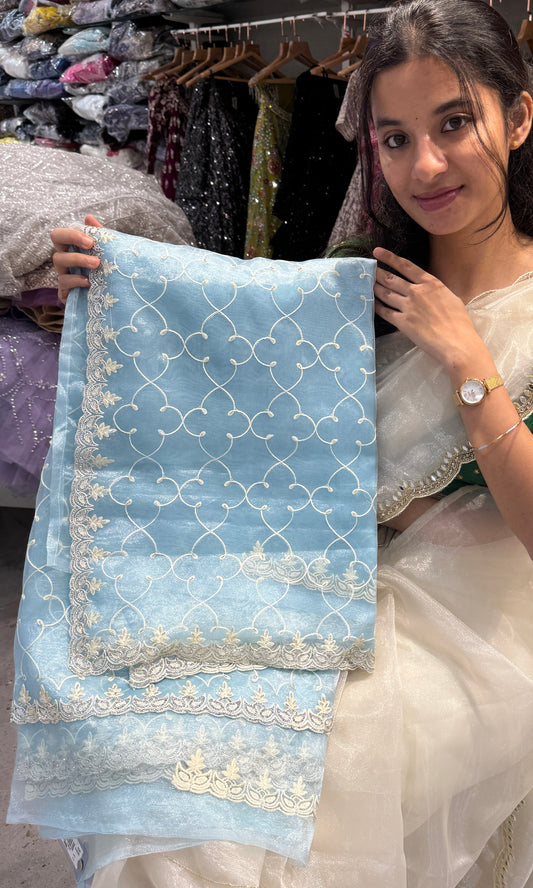 🩵Light blue fancy saree🩵 9849 (G10240)