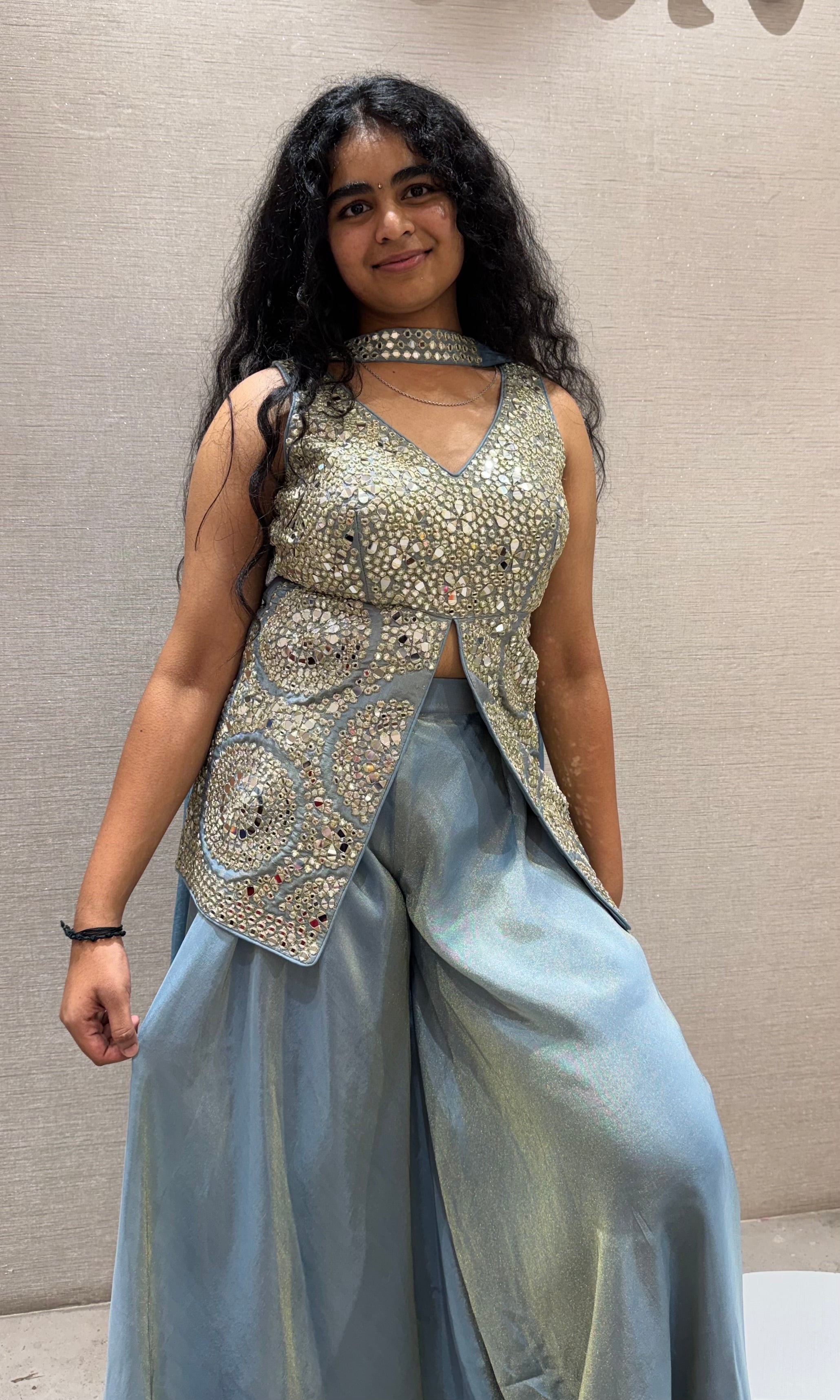 Light blue Silver Embellished Palazzo