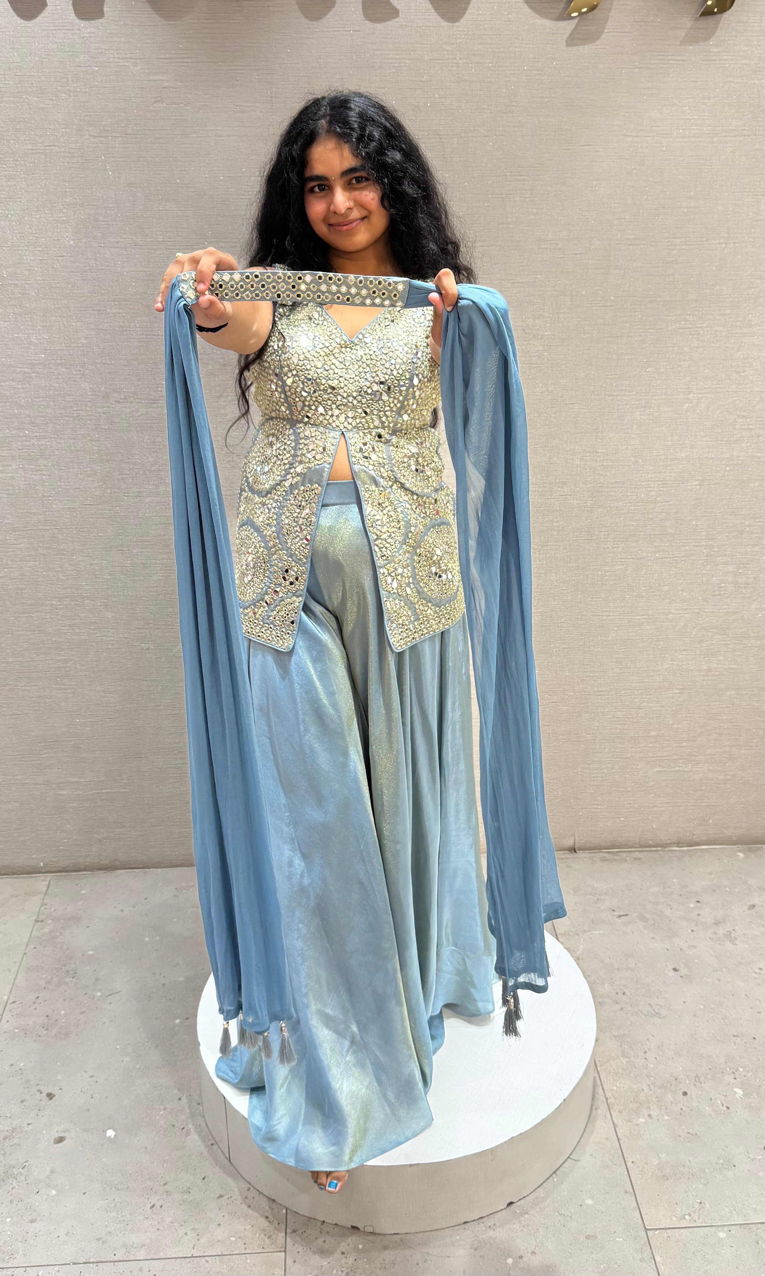 Light blue Silver Embellished Palazzo