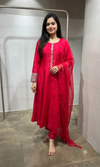 Rani Straight Kurta Set with Mirror Embroidery