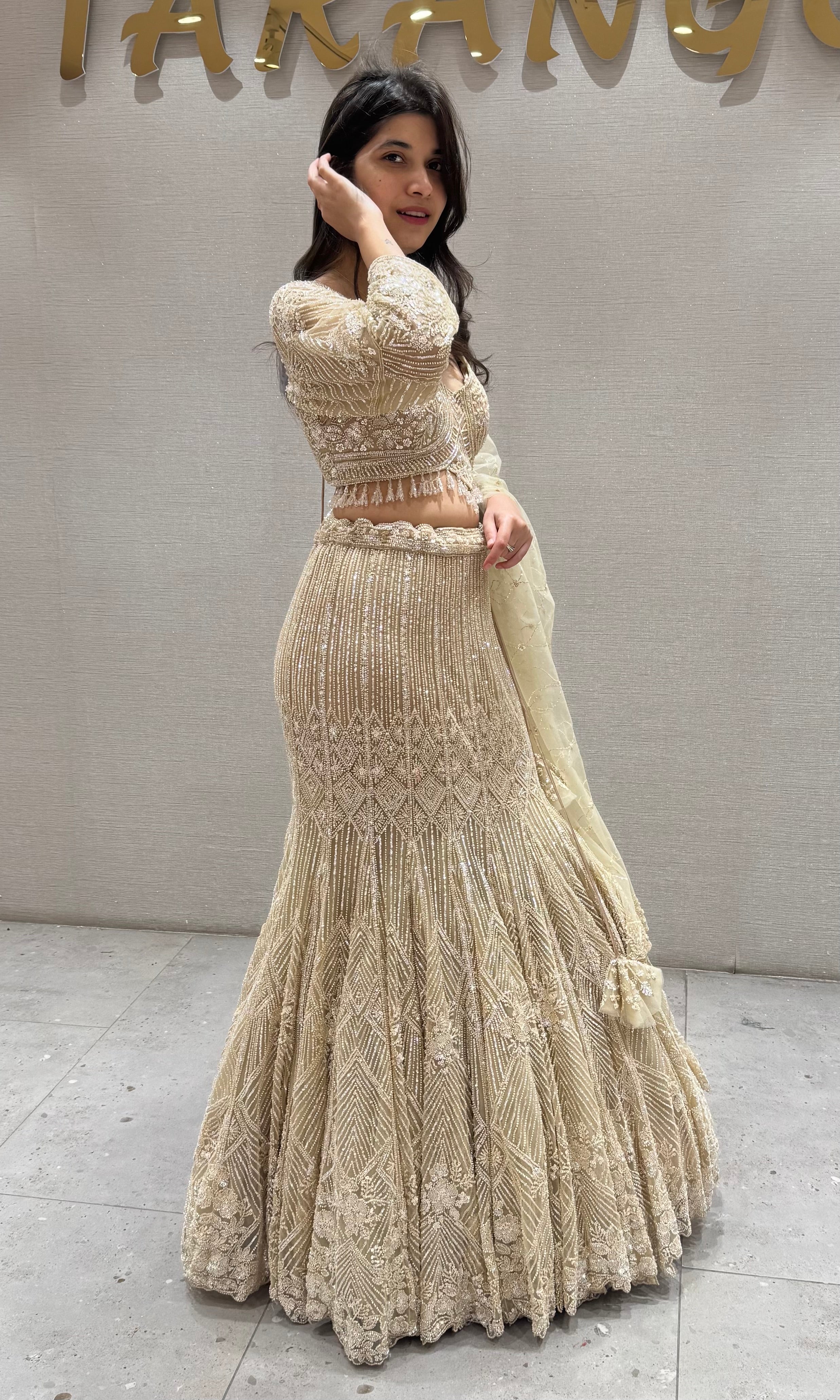 Fawn Net Embroidered Lehenga Choli