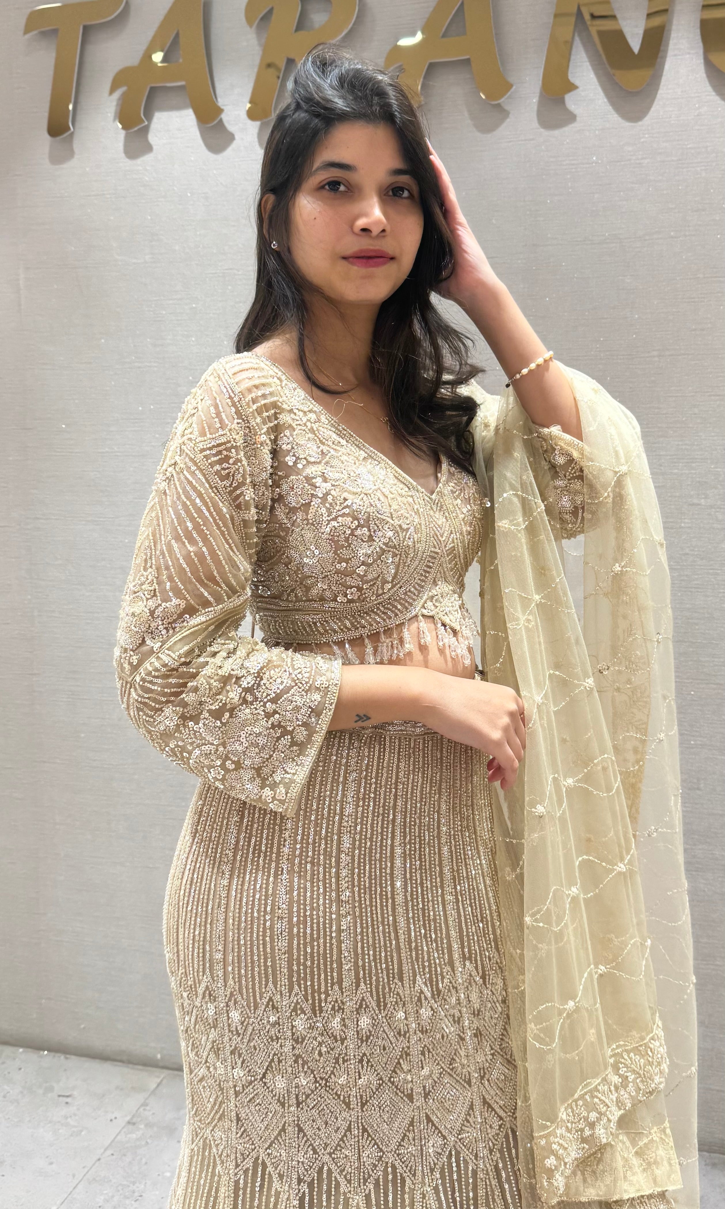 Fawn Net Embroidered Lehenga Choli