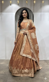 Rust Shimmer Lehenga Set with dupatta